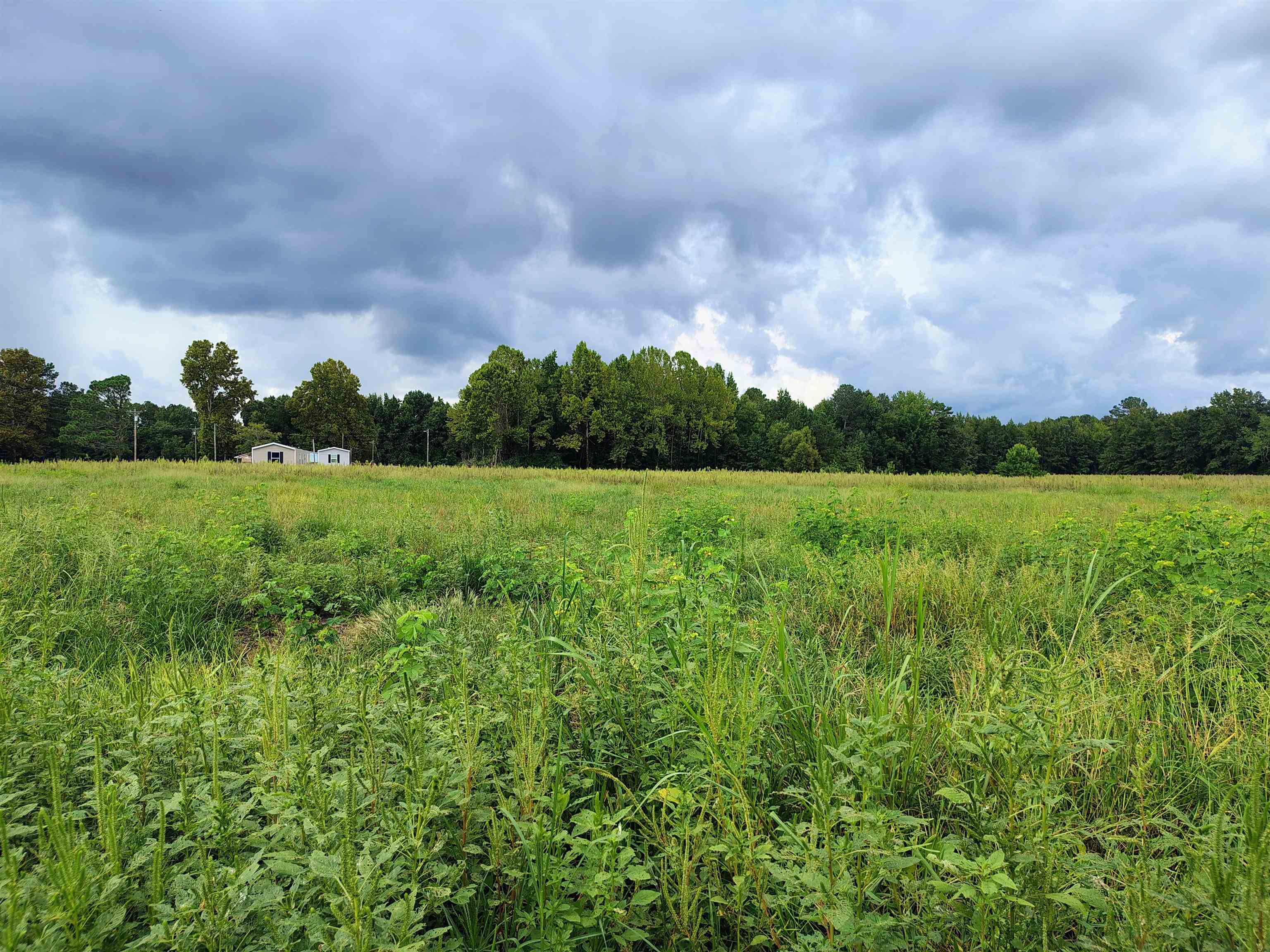 Tbd N Old Georgetown Rd. Property Photo 7