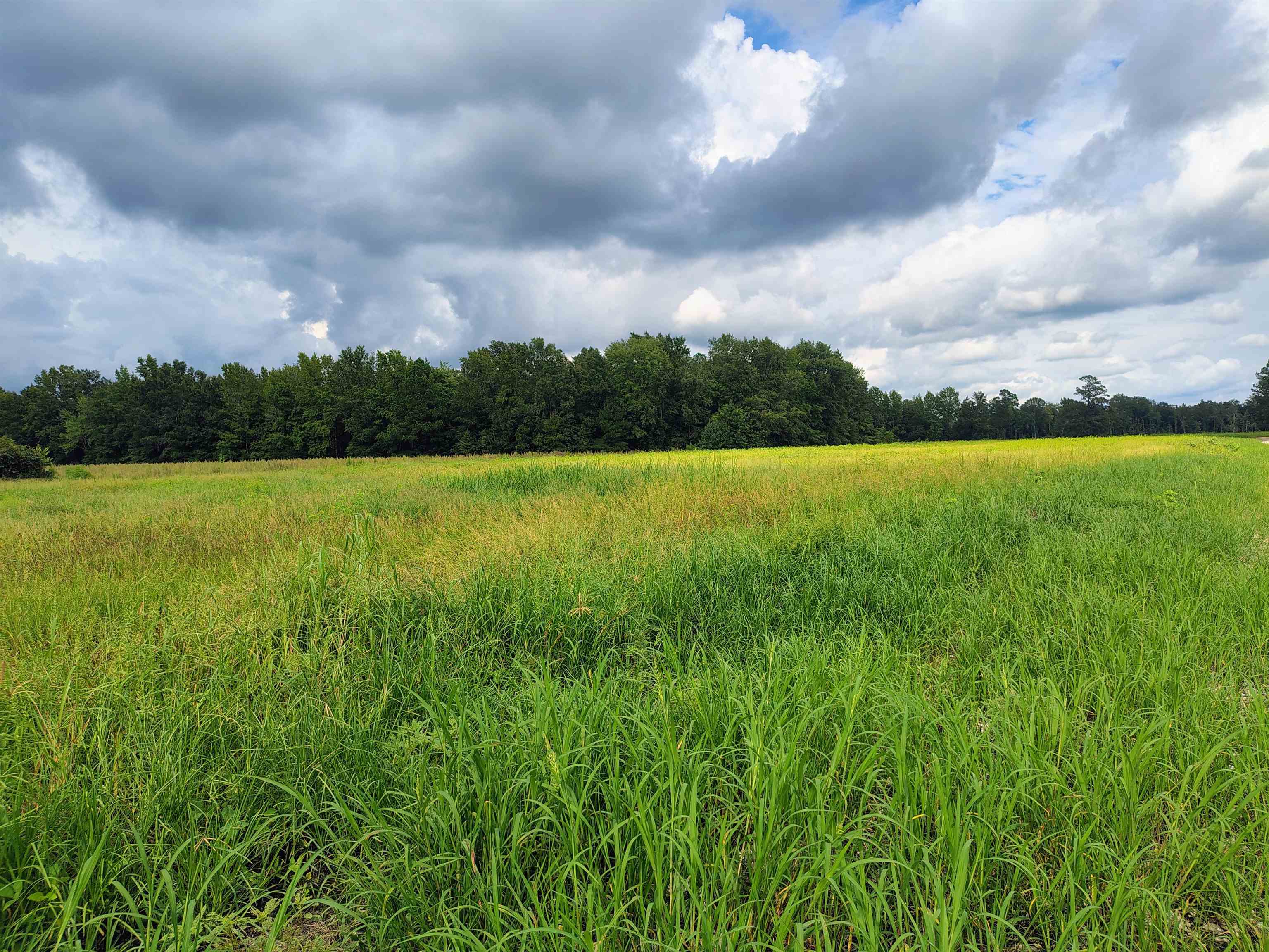 Tbd N Old Georgetown Rd. Property Photo 8