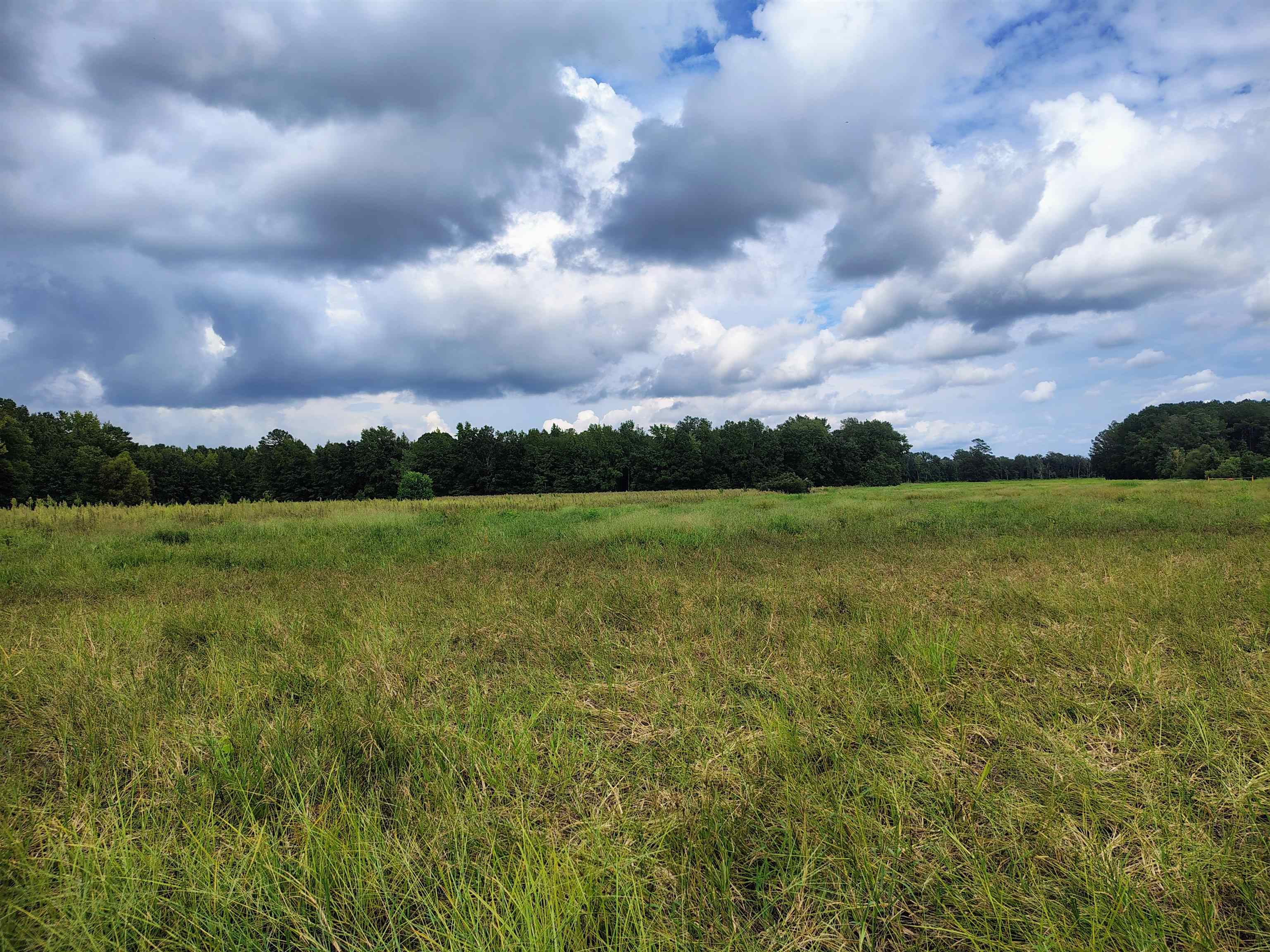 Tbd N Old Georgetown Rd. Property Photo 9