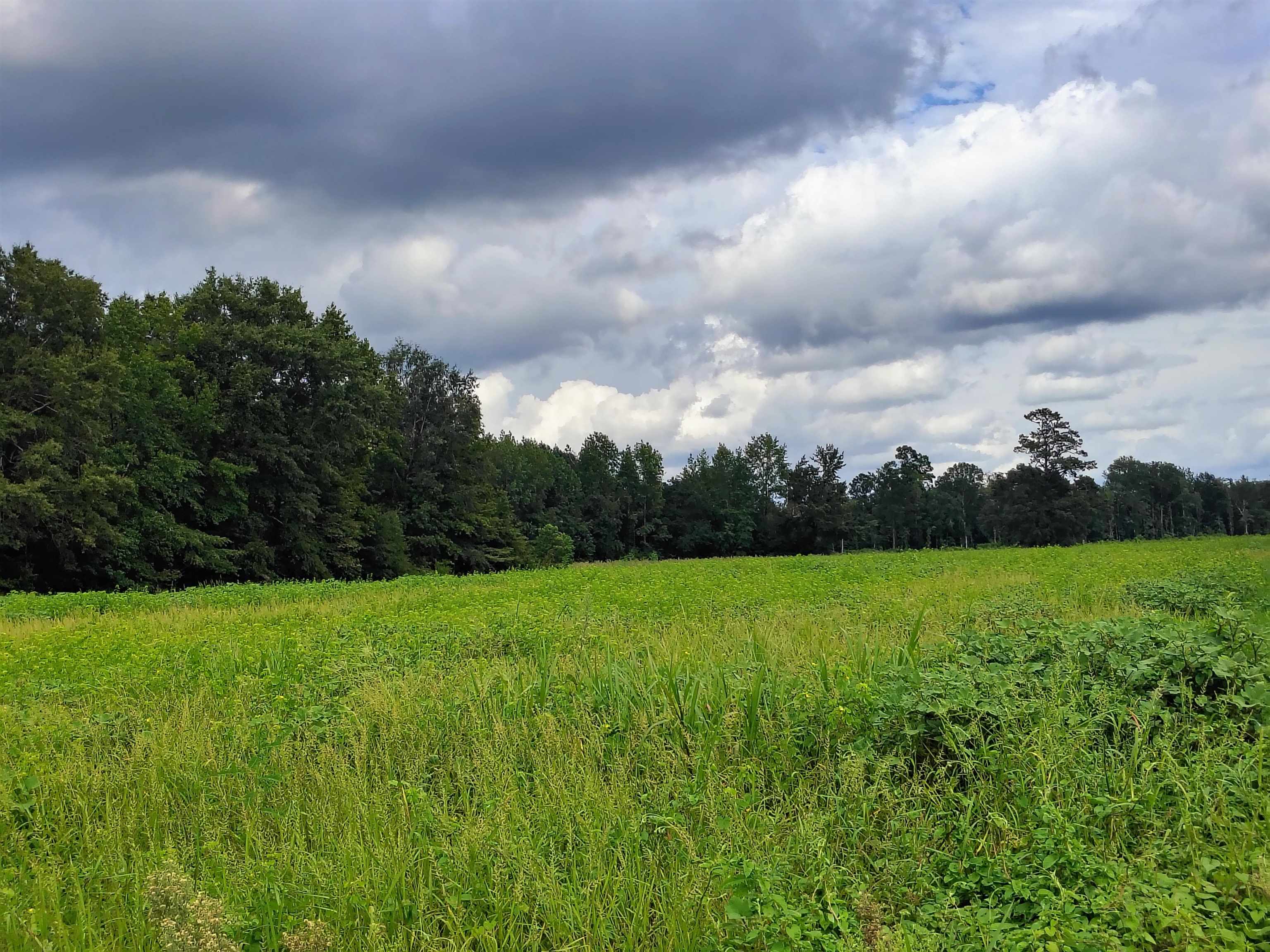 Tbd N Old Georgetown Rd. Property Photo 13