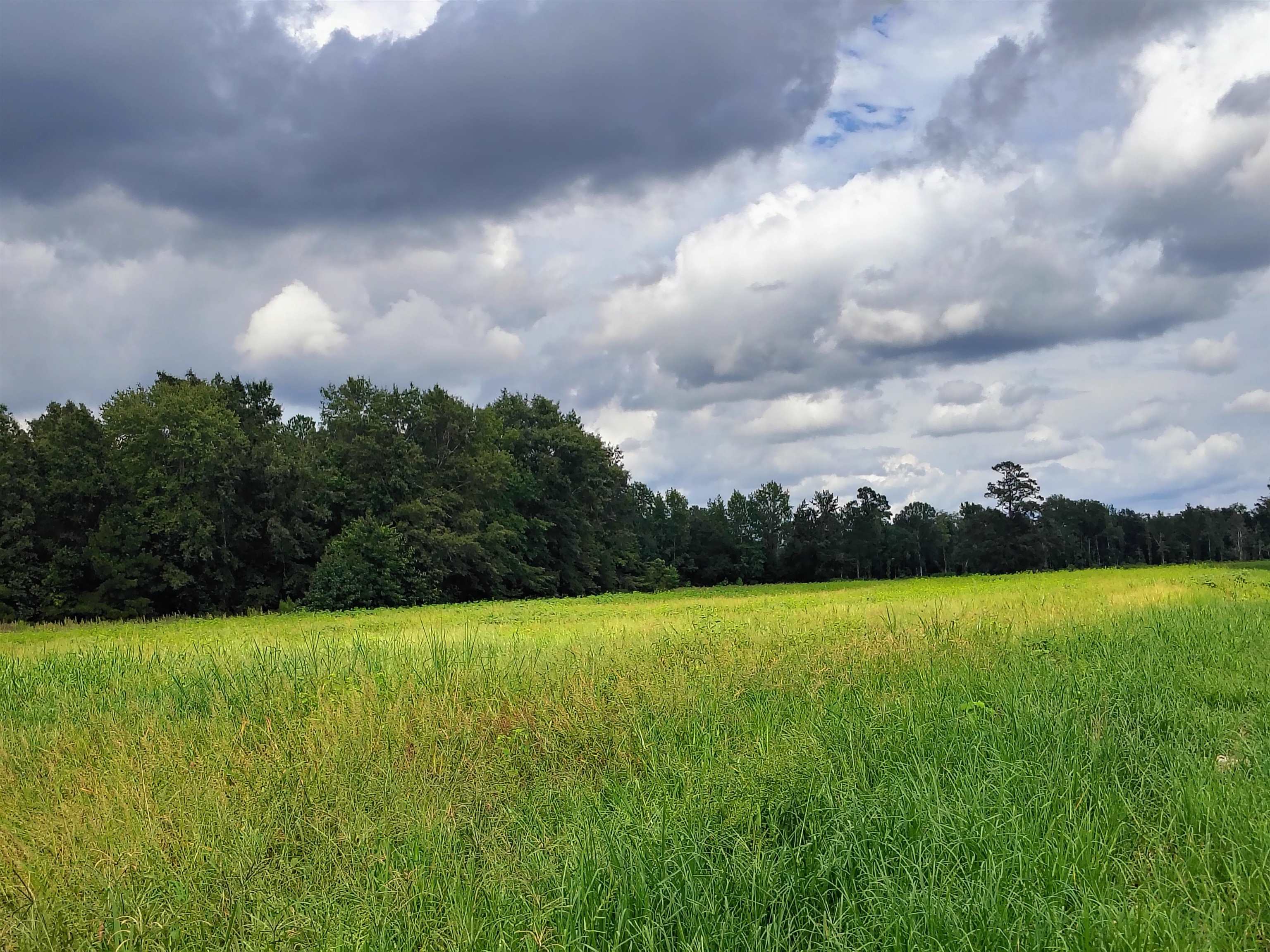 Tbd N Old Georgetown Rd. Property Photo 14