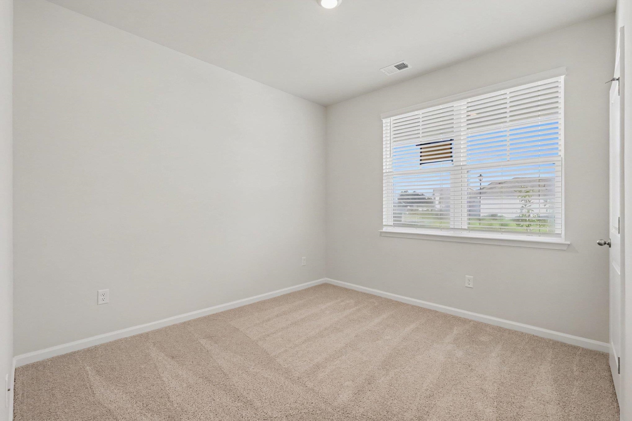 258 Ridley St Property Photo 18