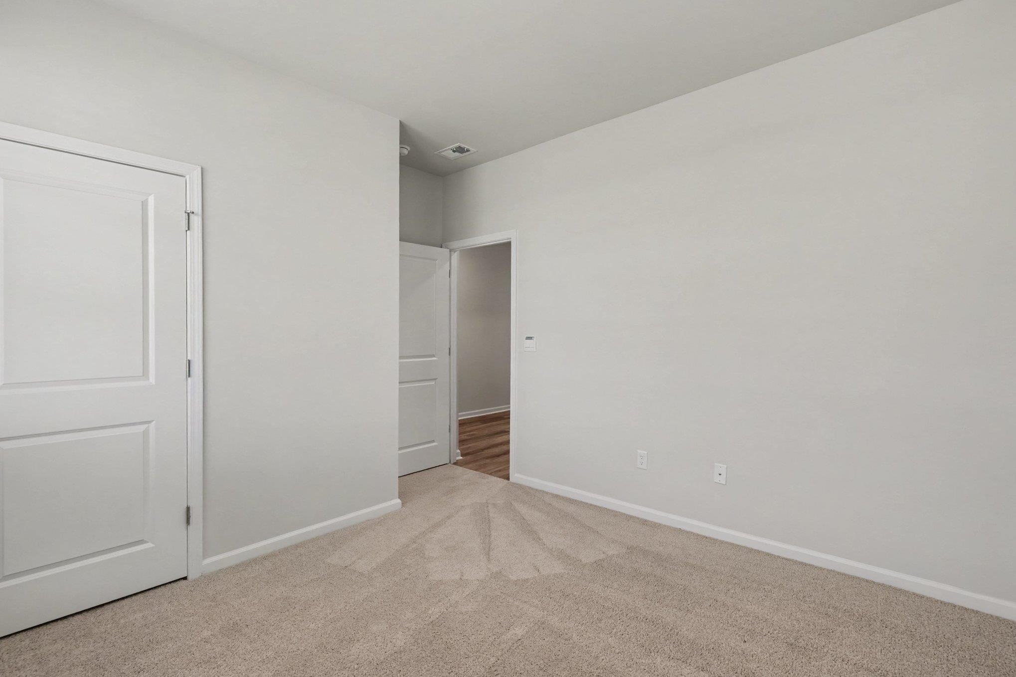 258 Ridley St Property Photo 19