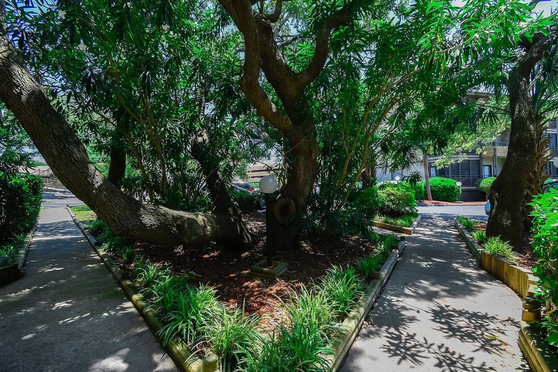 9501 Shore Dr. Property Photo 34