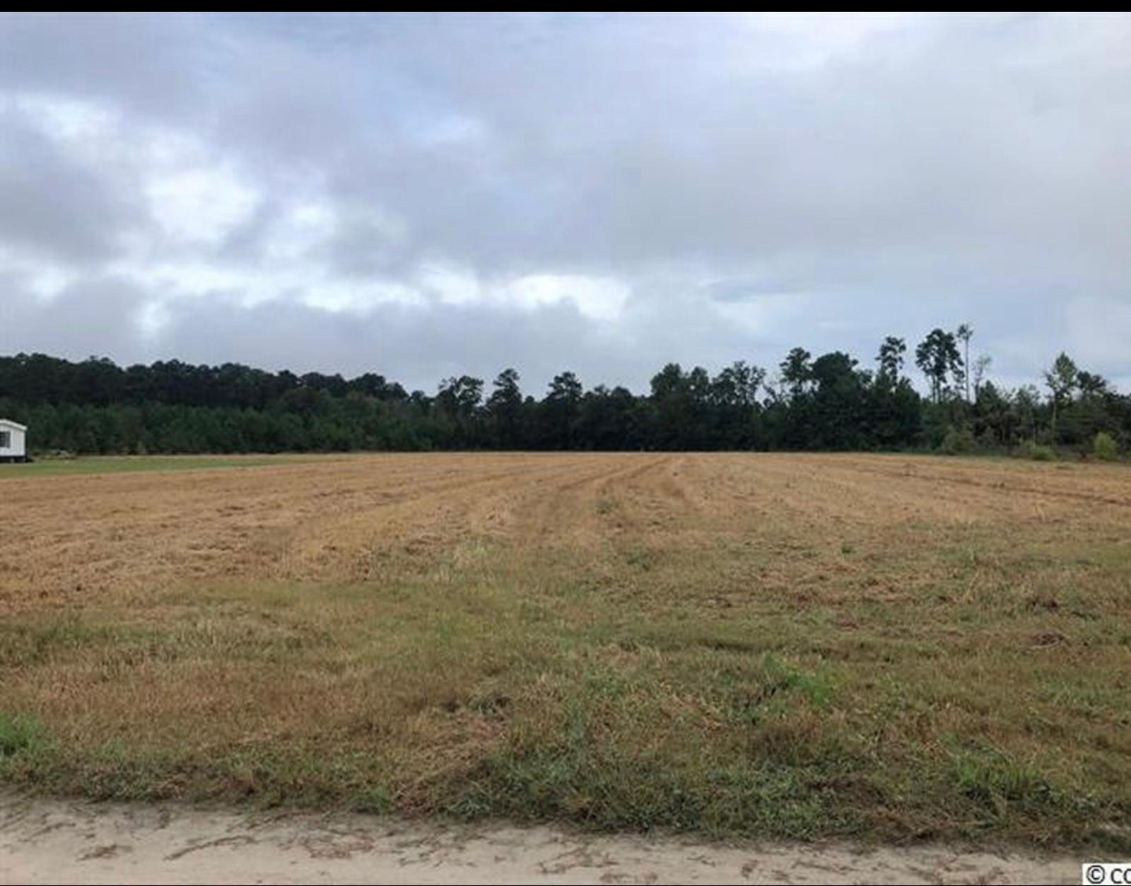 Tbd Strickland Rd. Property Photo 3