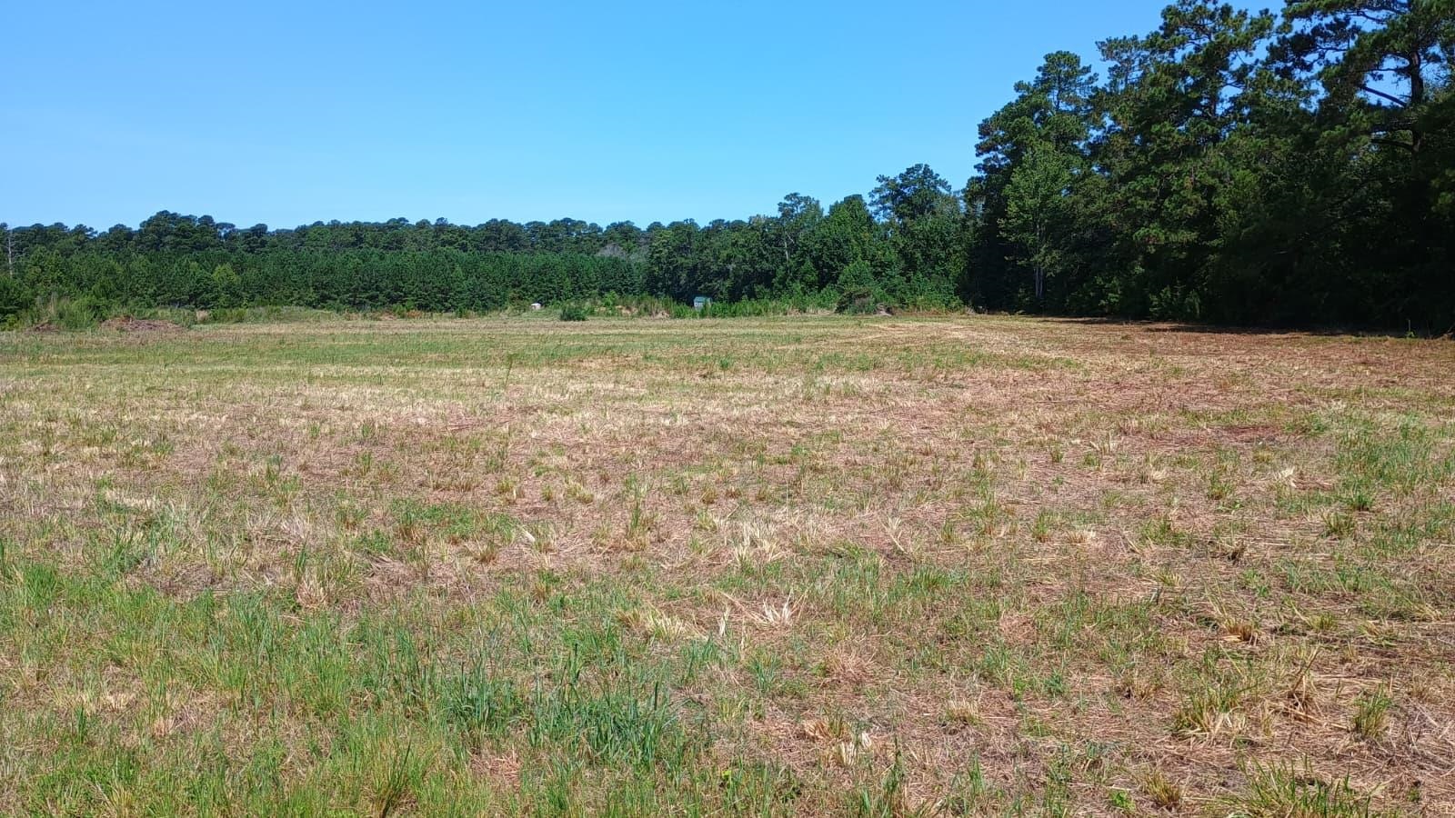 Tbd Strickland Rd. Property Photo 4