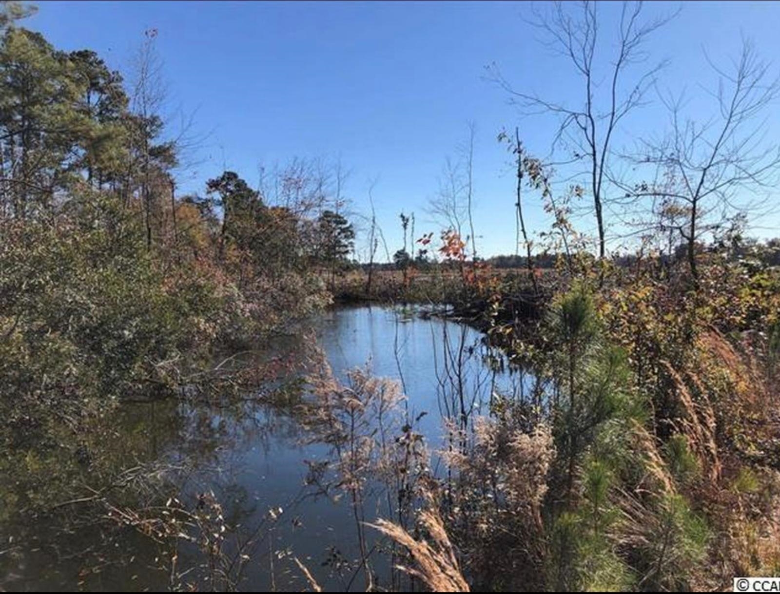 Tbd Strickland Rd. Property Photo 6