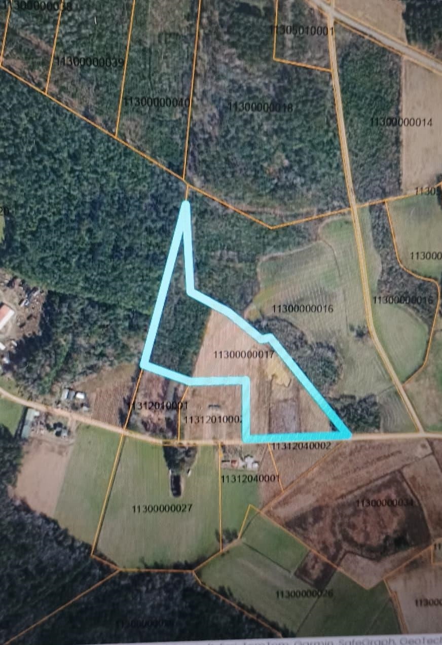 Tbd Strickland Rd. Property Photo 11