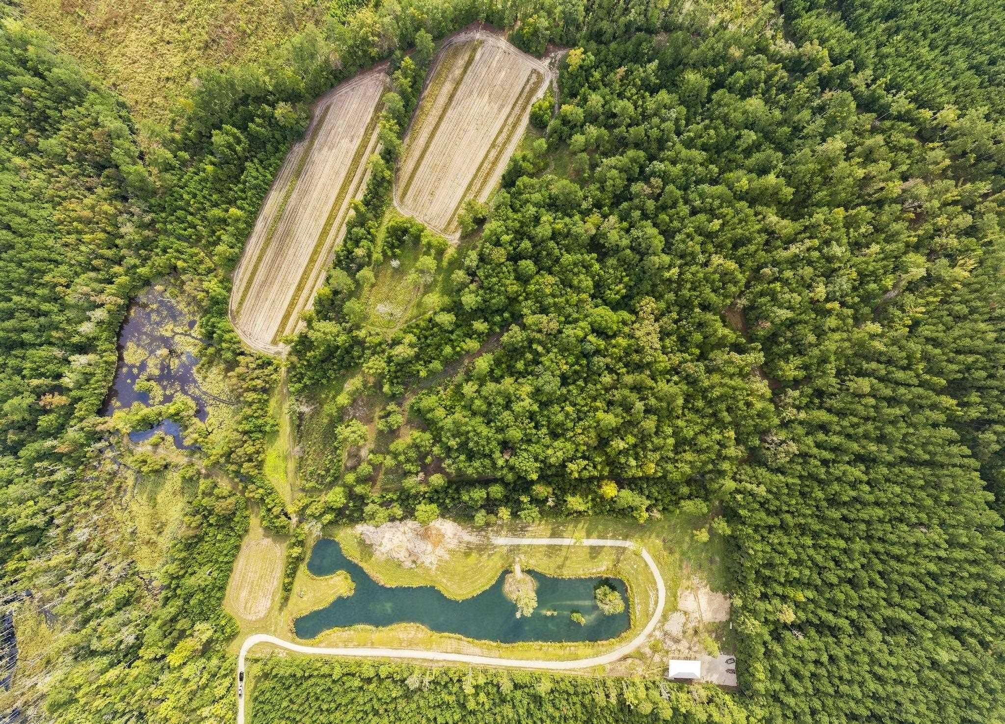 Tbd Bratcher Rd. Property Photo 1