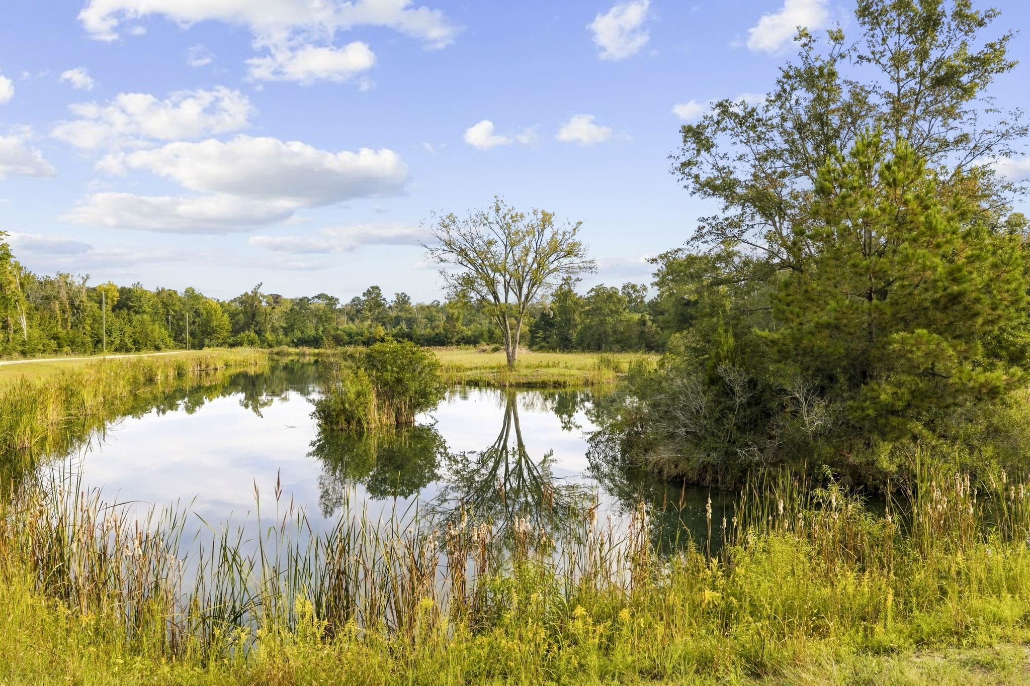 Tbd Bratcher Rd. Property Photo 5