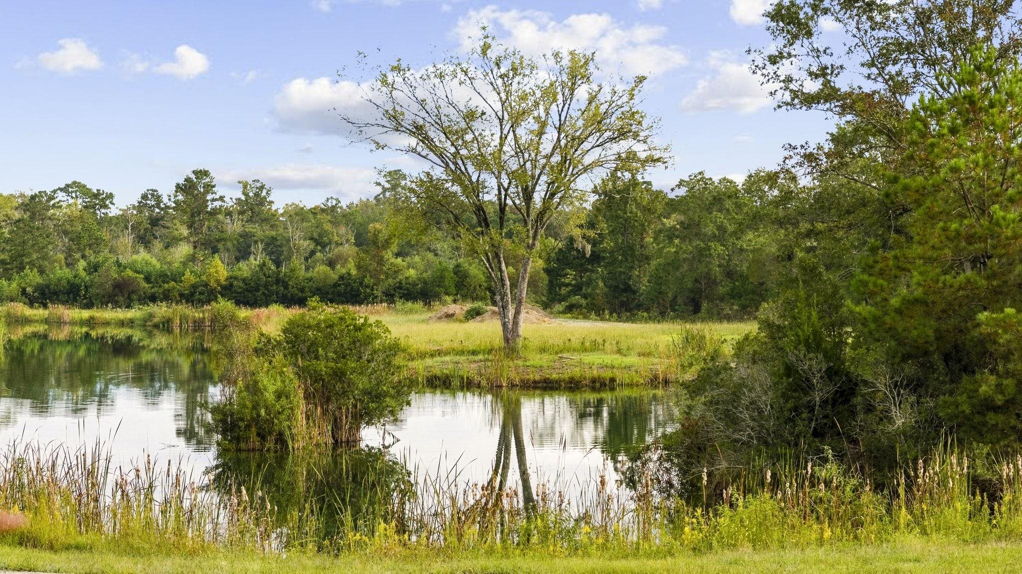 Tbd Bratcher Rd. Property Photo 6