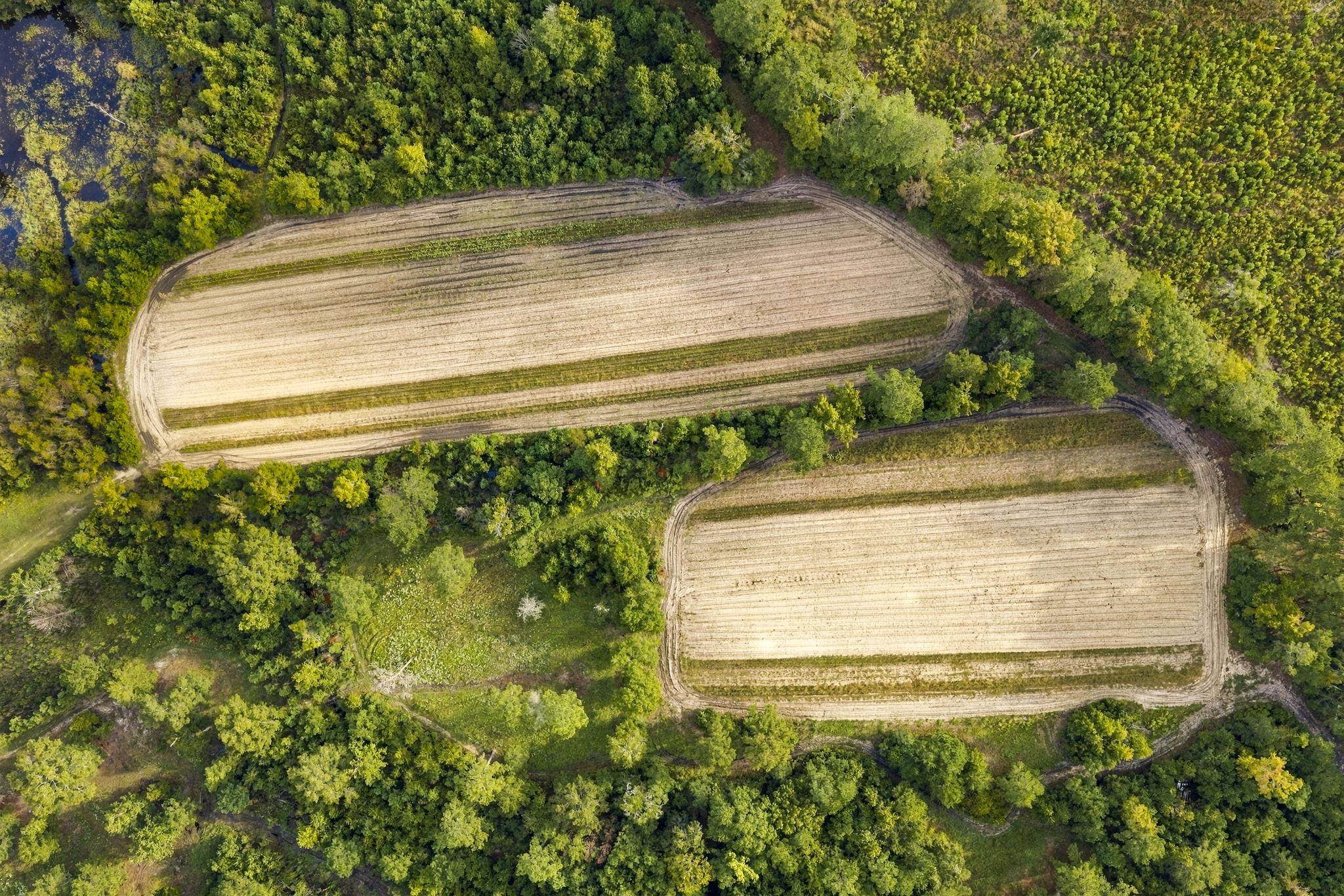 Tbd Bratcher Rd. Property Photo 11