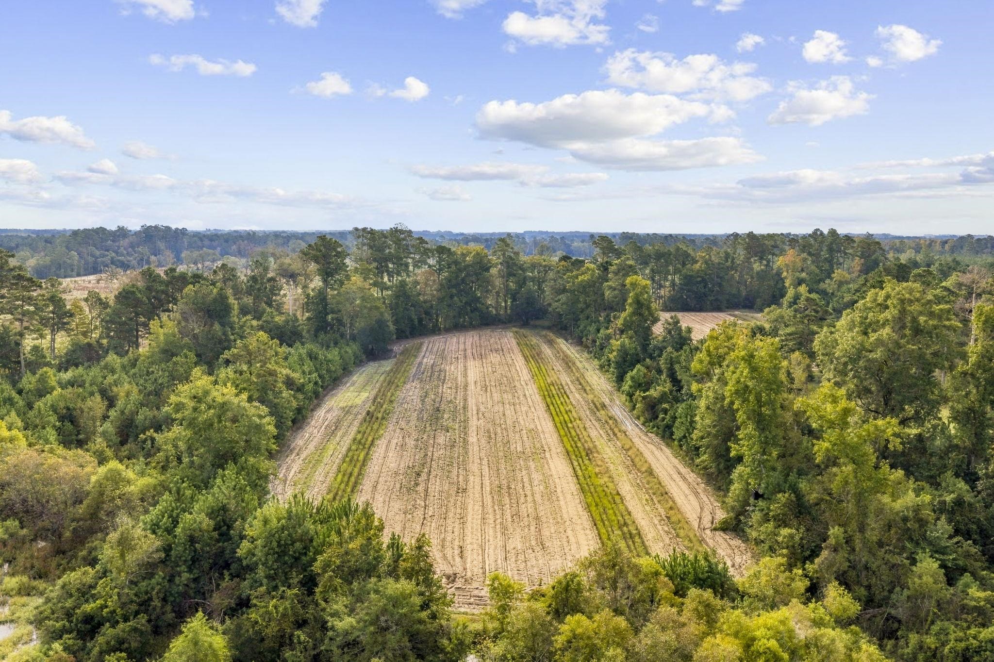 Tbd Bratcher Rd. Property Photo 12