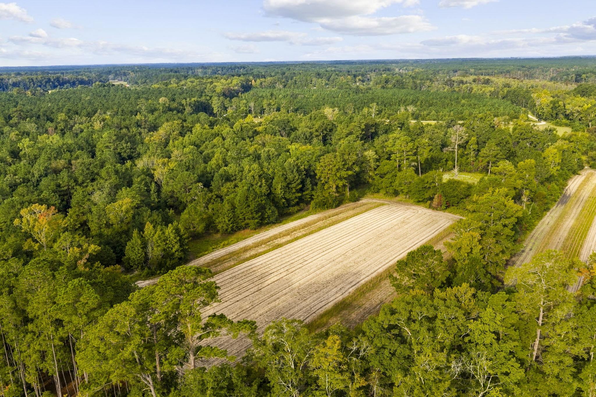 Tbd Bratcher Rd. Property Photo 13