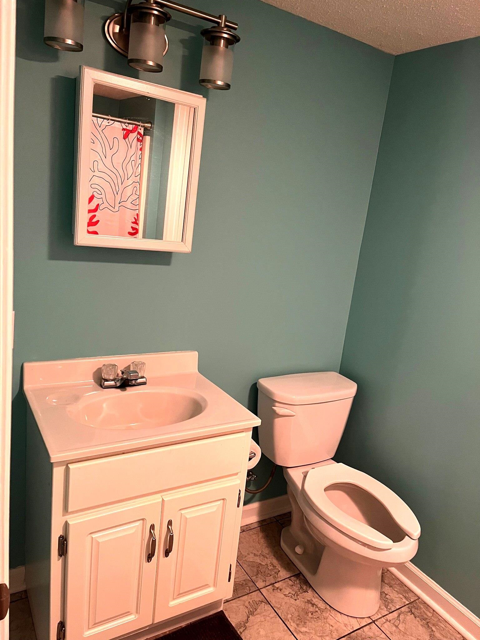 305 Chester St. Property Photo 16