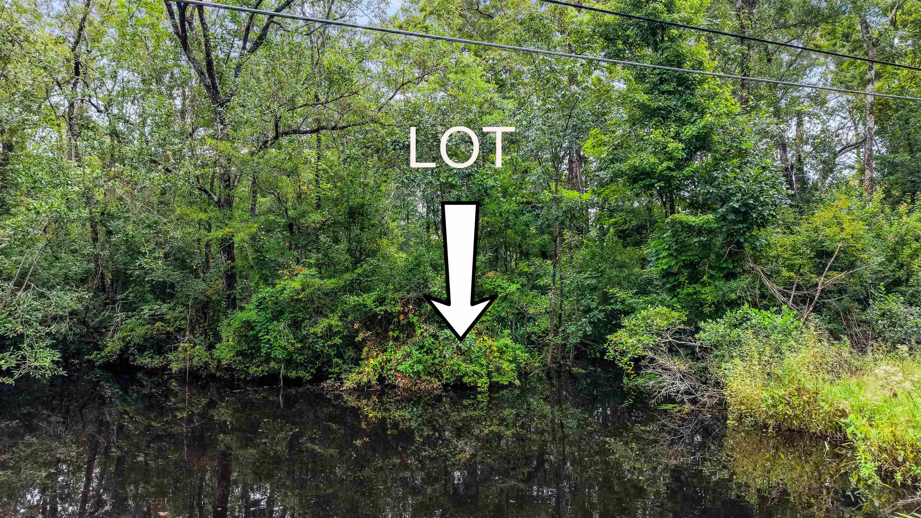 0 Meggett Dr. Property Photo 1