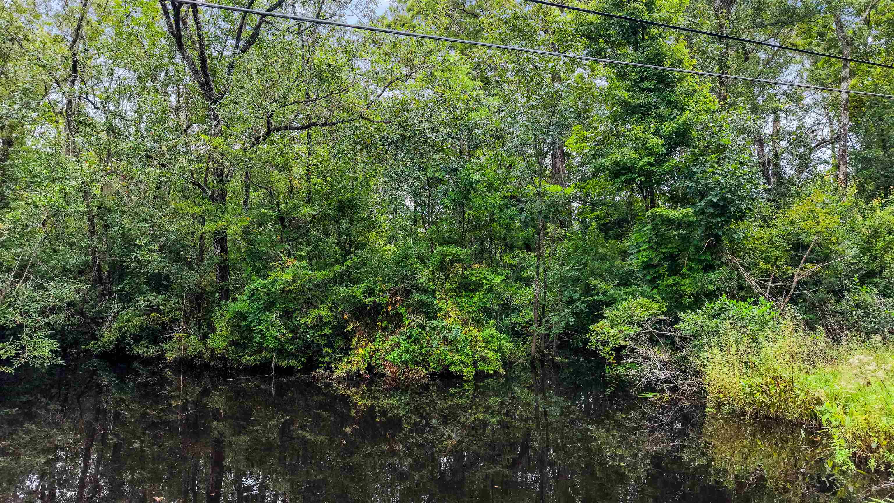 0 Meggett Dr. Property Photo 2