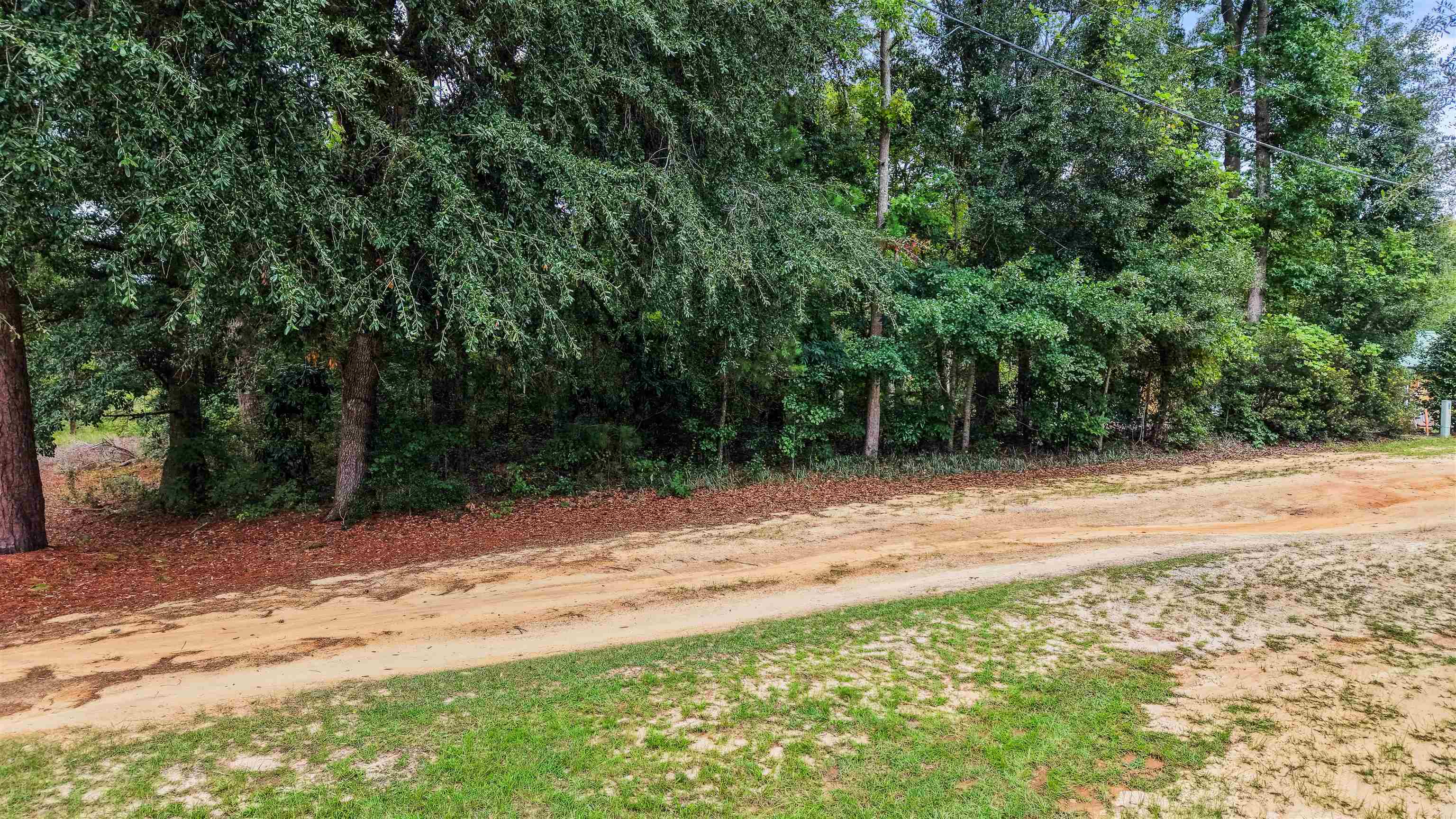 0 Meggett Dr. Property Photo 11