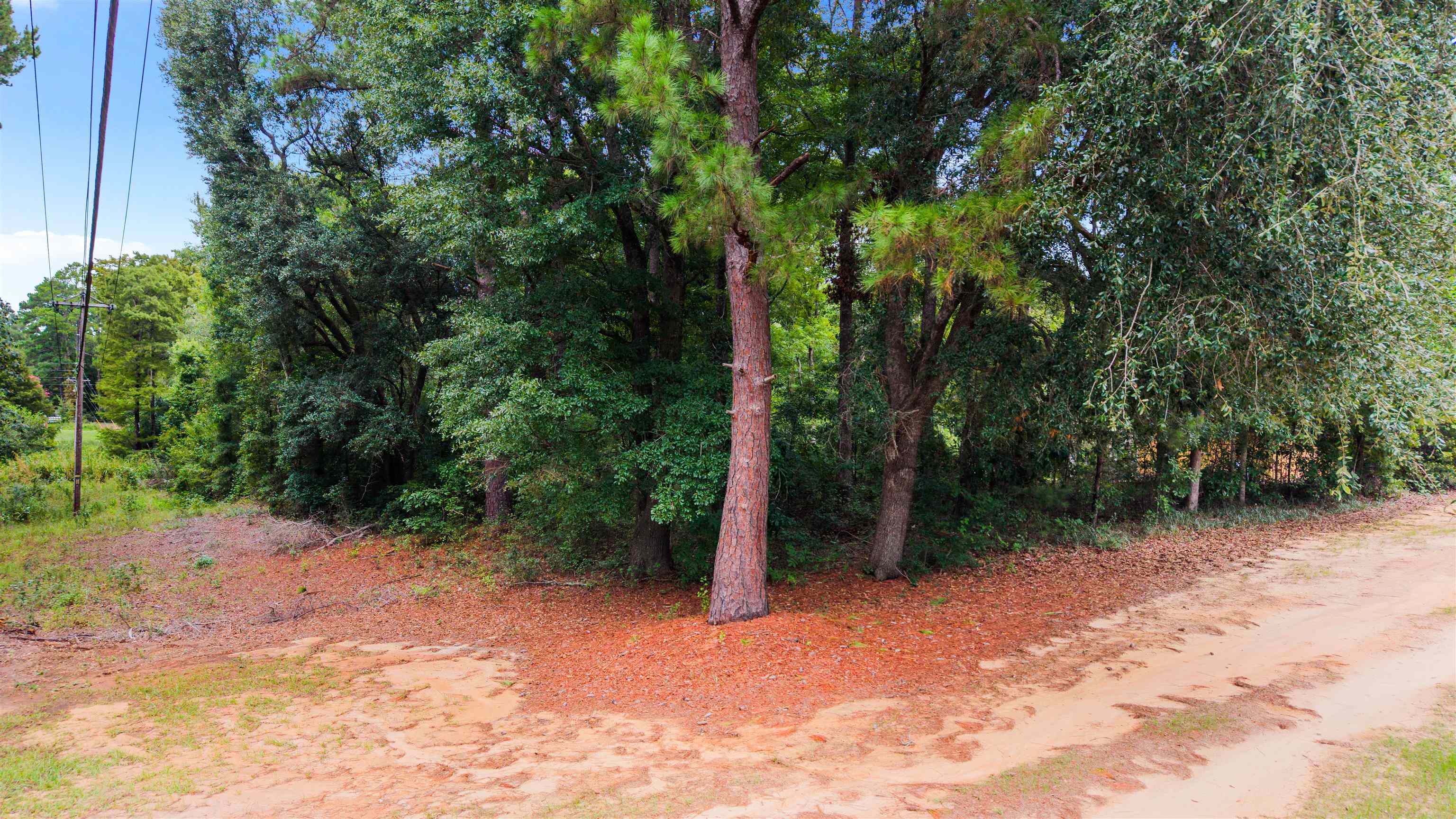 0 Meggett Dr. Property Photo 12