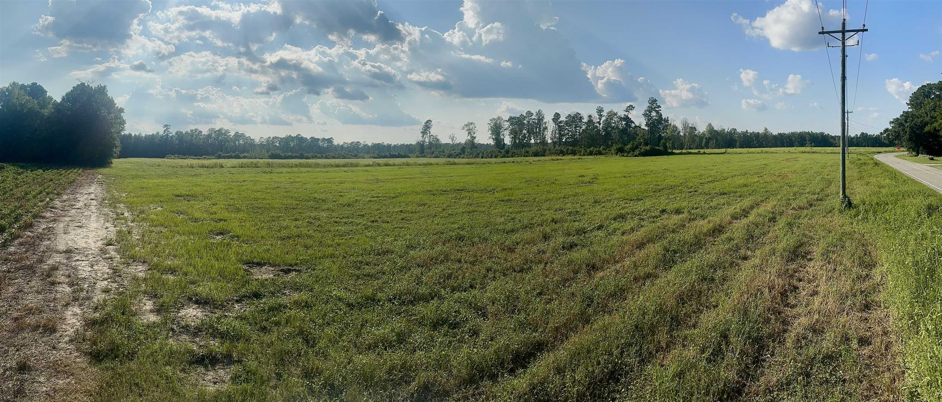 Highway 19 Property Photo 2