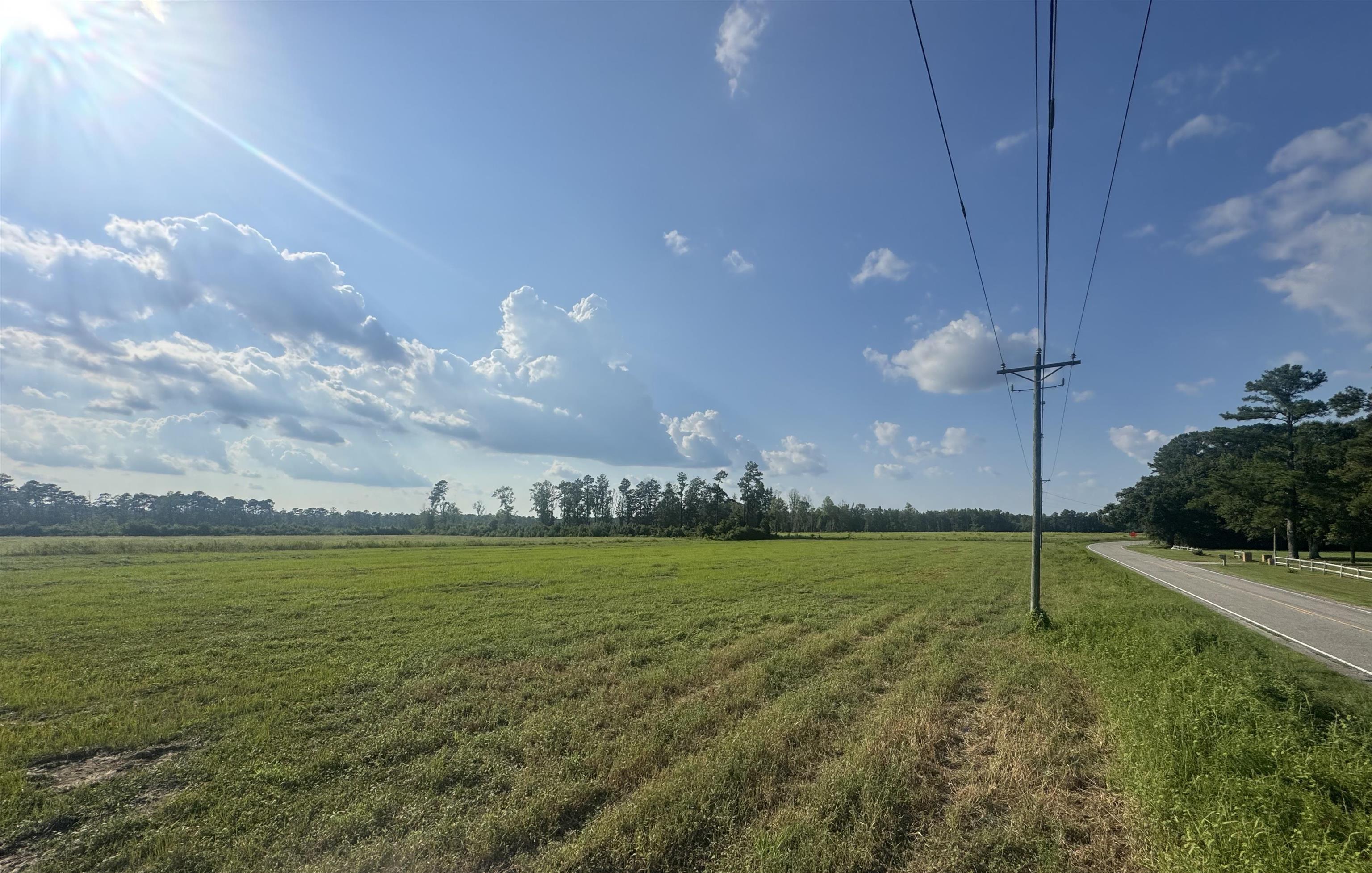 Highway 19 Property Photo 3