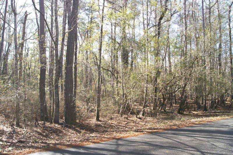 Lot 25 Crow Hill Dr. Property Photo 1