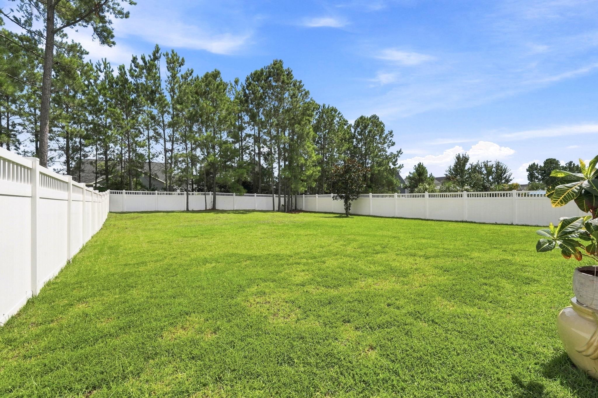 1307 Fiddlehead Way Property Photo 10