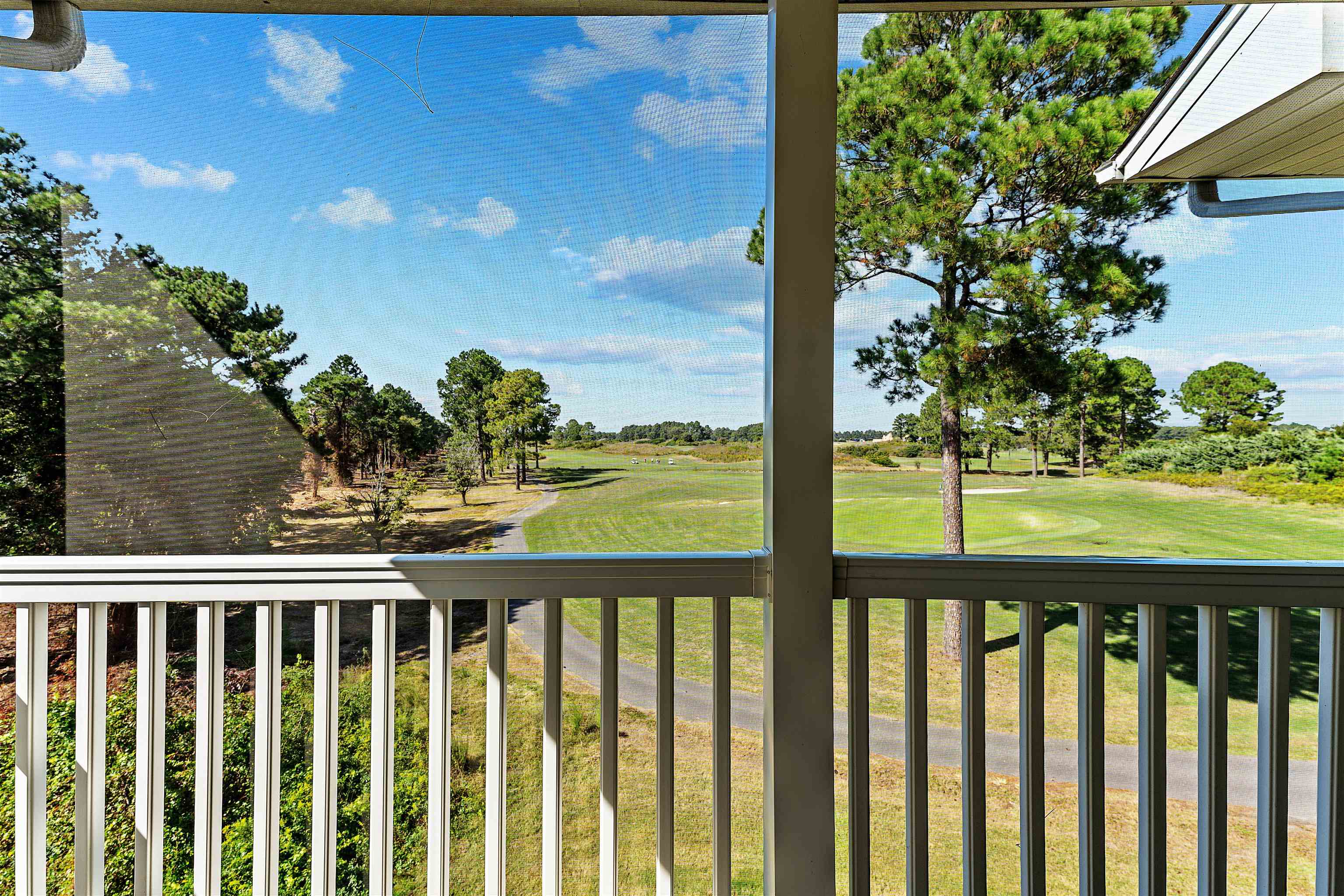 6010 Windsor Green Way Property Photo 2