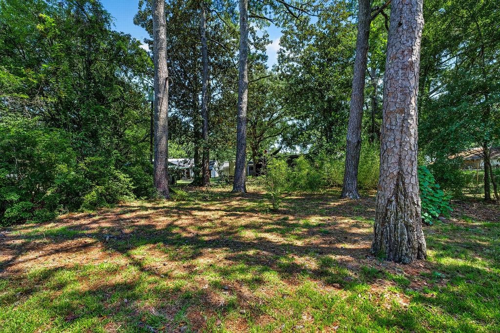 2501 Redwood St. Property Photo 13