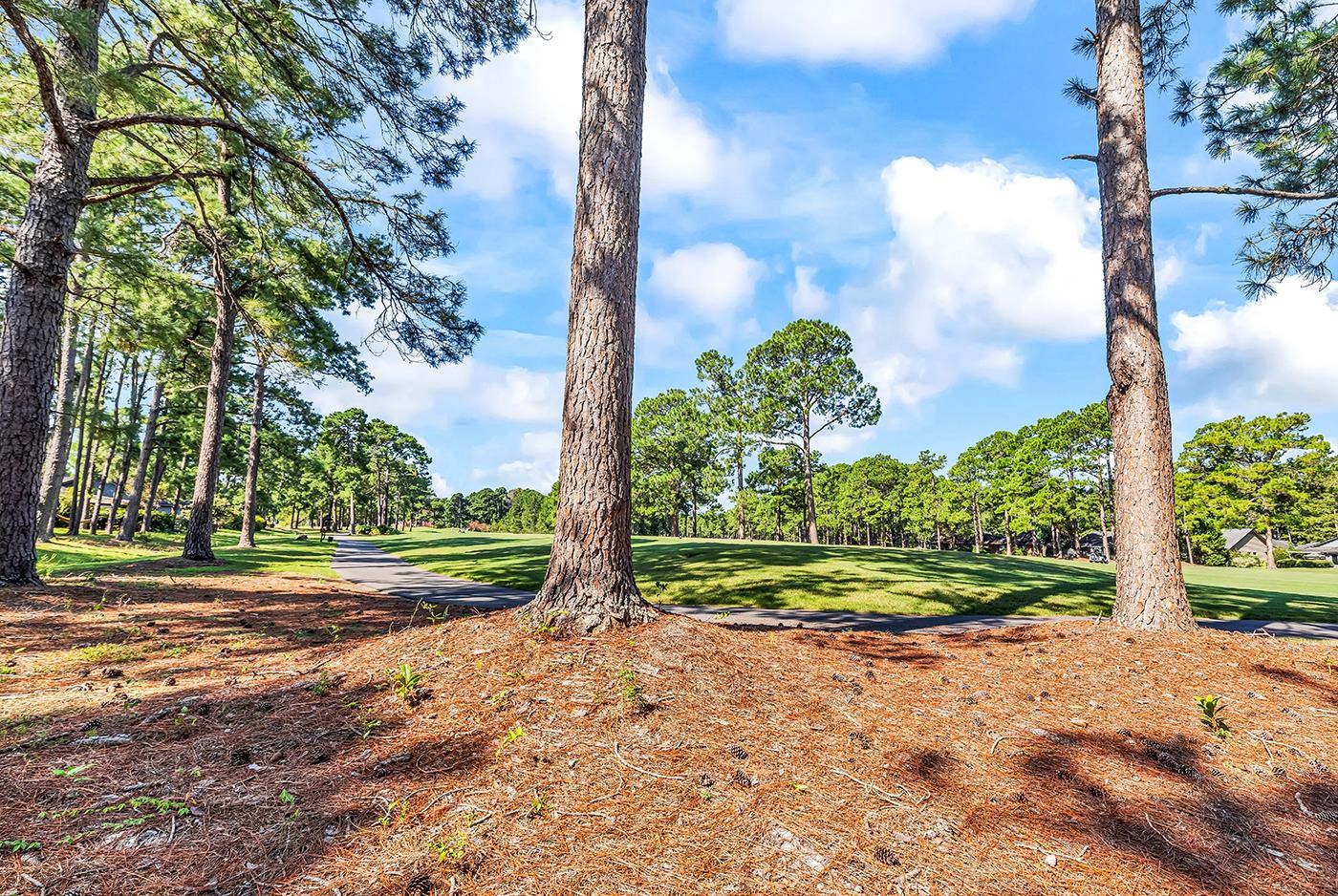104 Moss Circle Property Photo 33
