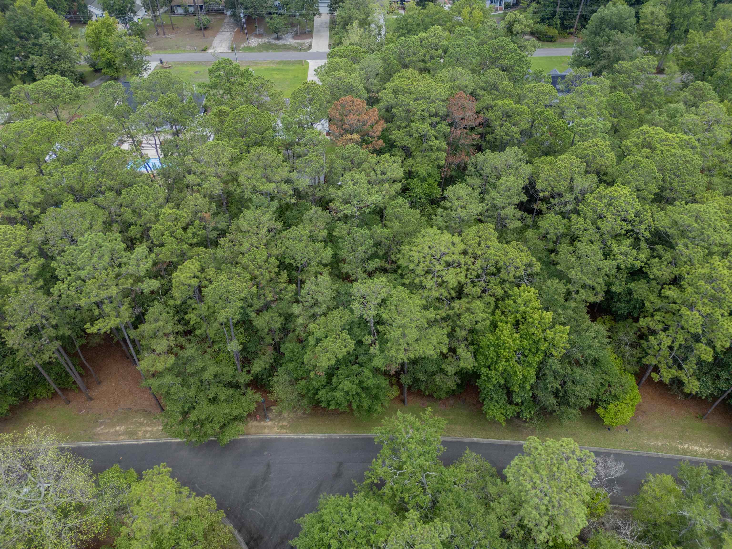 3716 Pine Brook Trail Property Photo 1