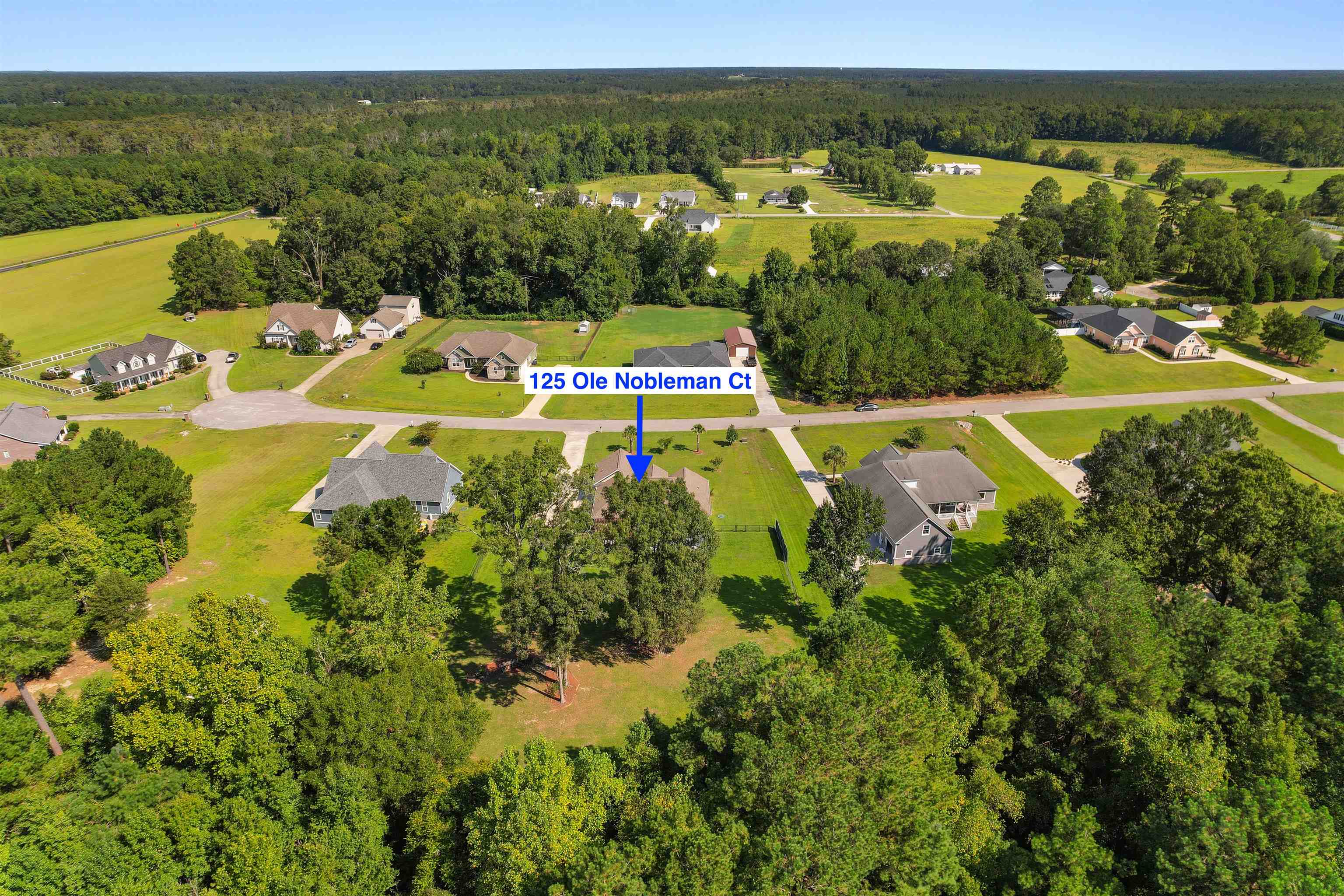 125 Ole Nobleman Ct. Property Photo 41