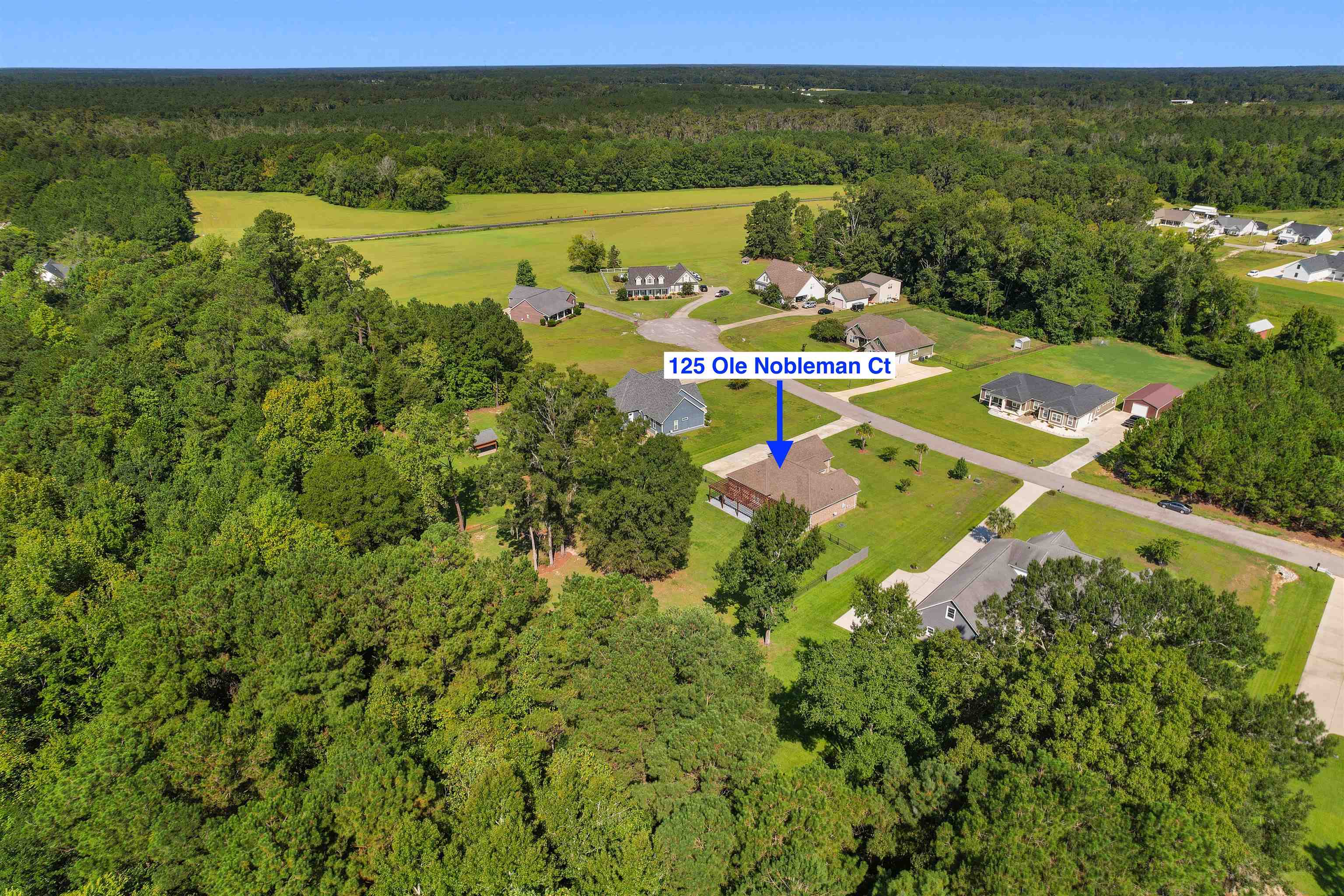 125 Ole Nobleman Ct. Property Photo 42