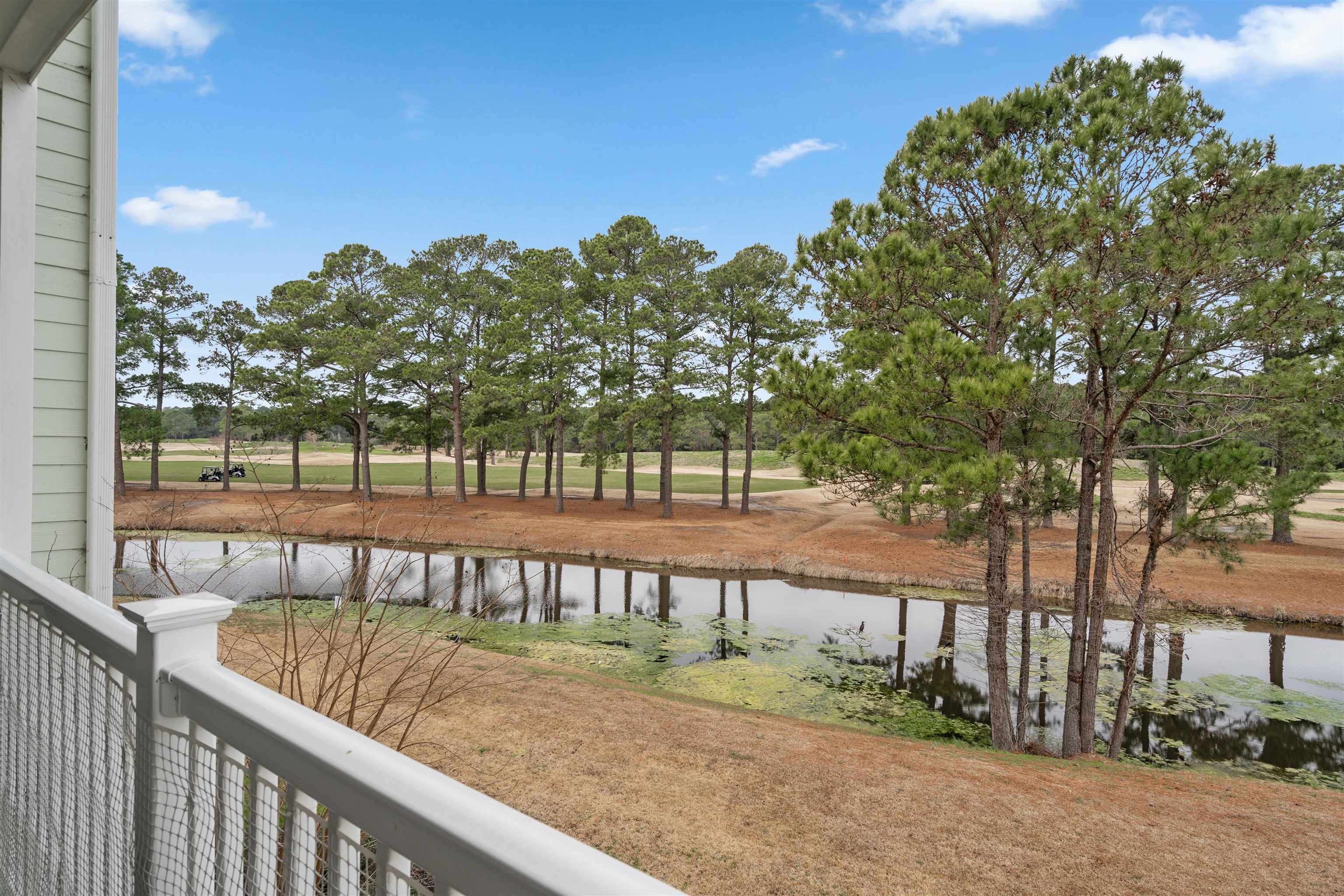 4851 Carnation Circle Property Photo 25