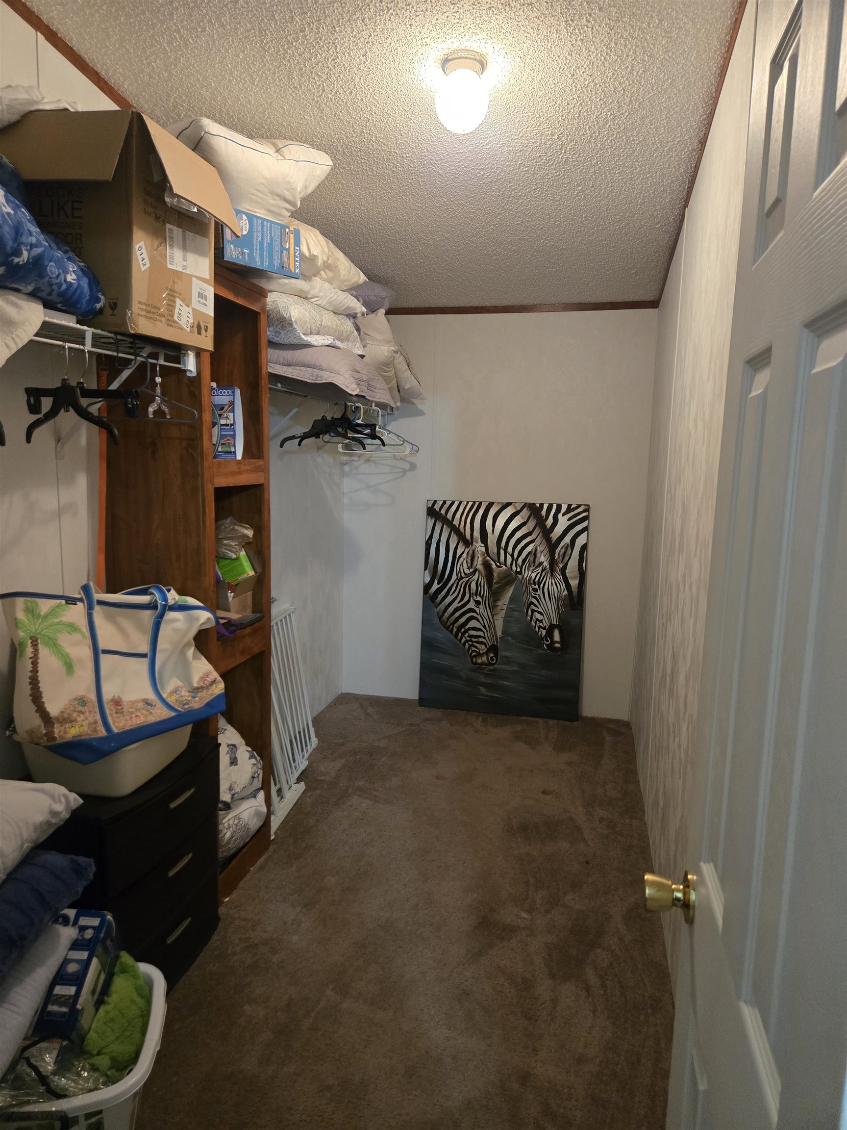 609 Live Oak Dr. Property Photo 19