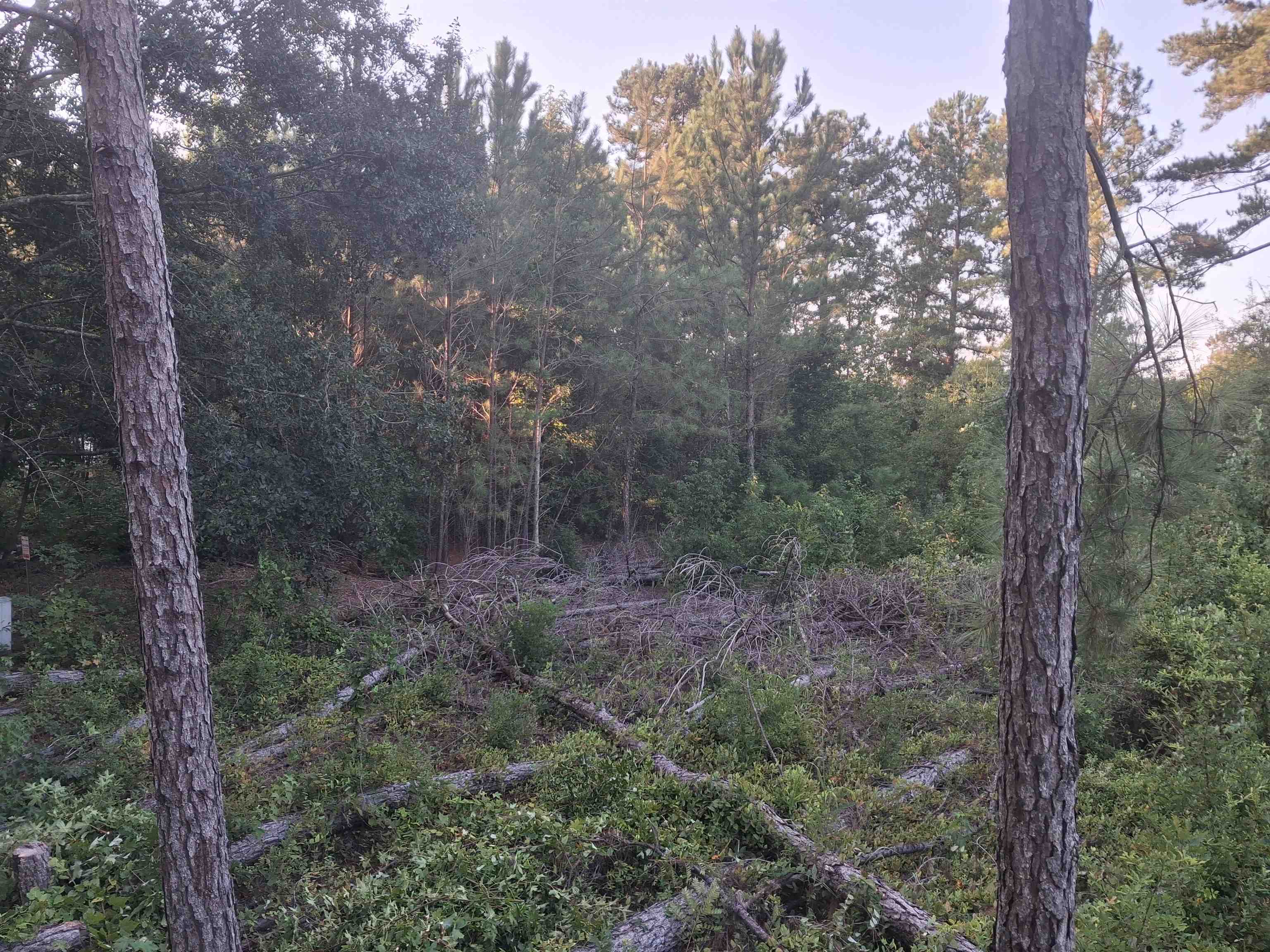 Lot 12-d Mcgregor Circle Property Photo 1