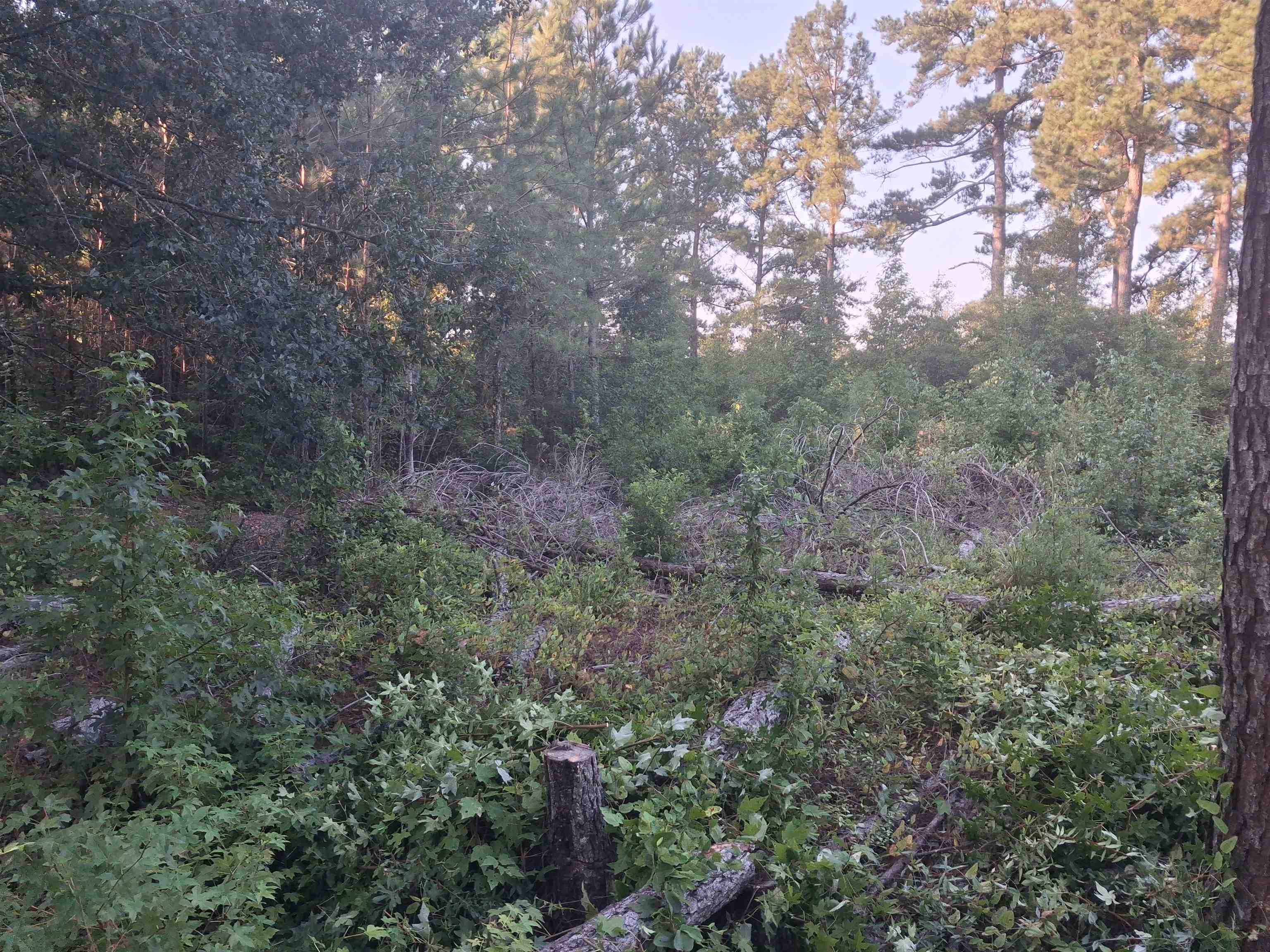 Lot 11-D McGregor Circle Property Photo 1