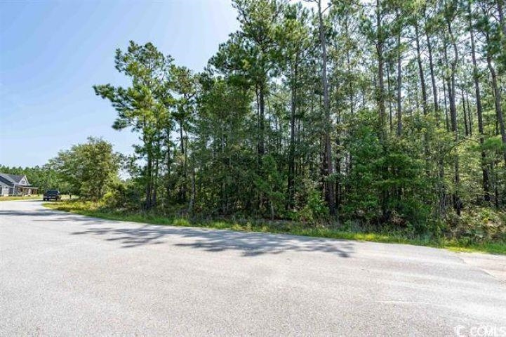 1525 Wilderness Ln. Property Photo 1