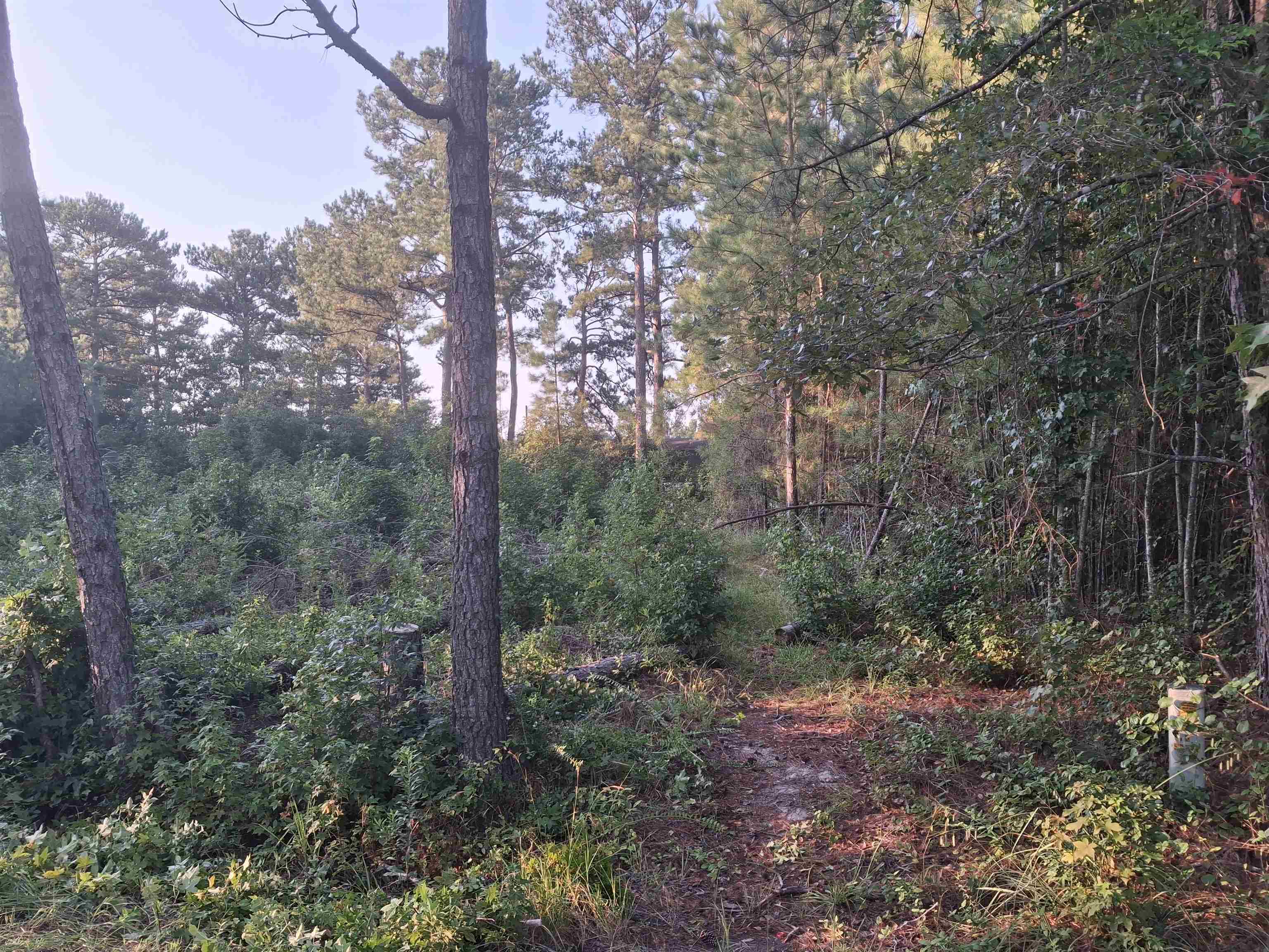 Lot 10-D McGregor Circle Property Photo 1
