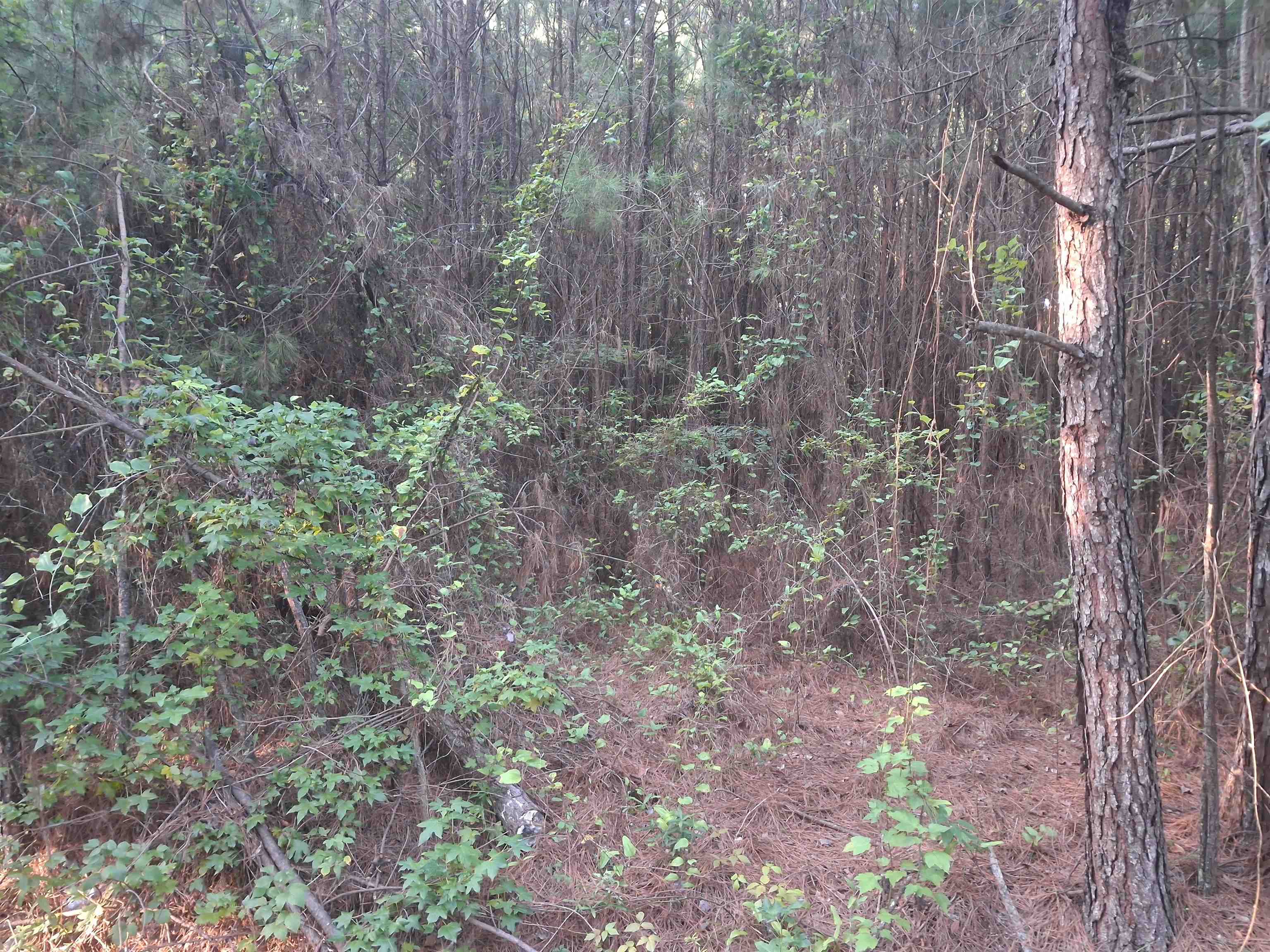 Lot 5-D McGregor Circle Property Photo 1