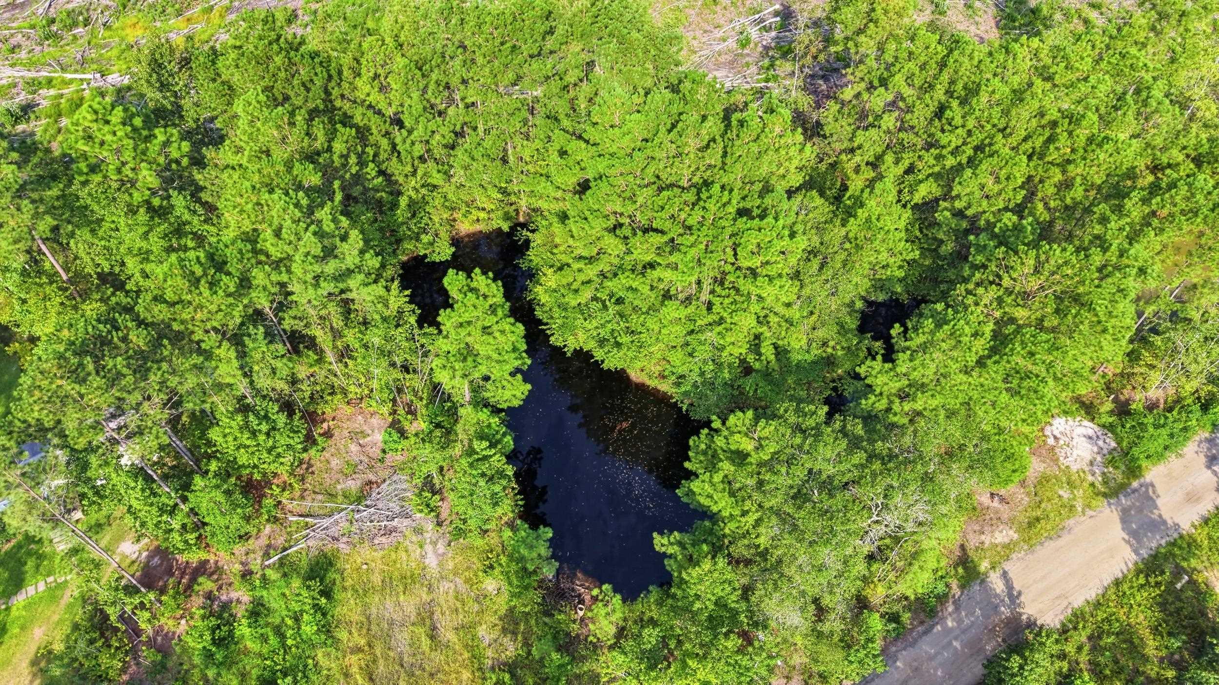2106 Mineral Springs Rd. Property Photo 9