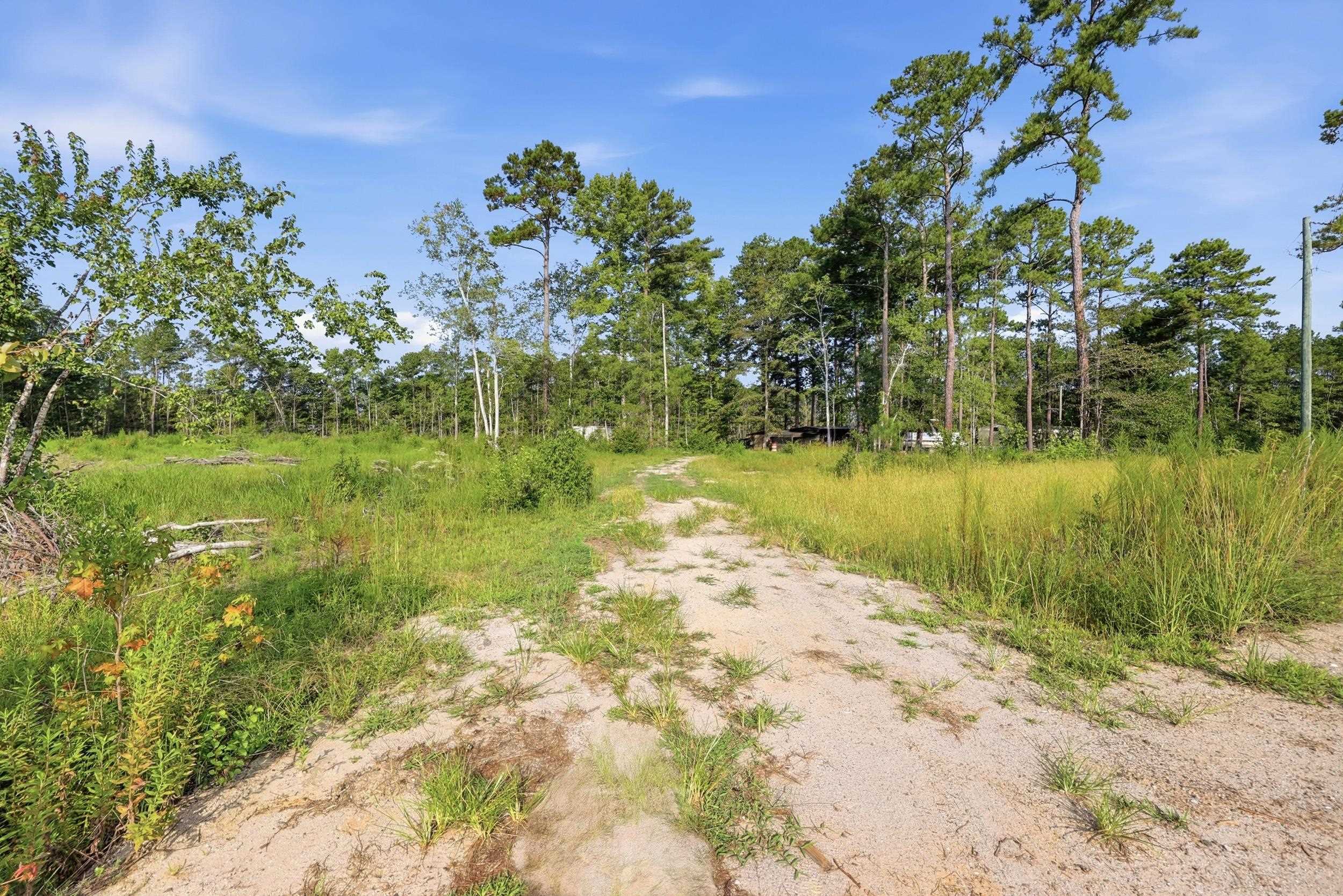 2106 Mineral Springs Rd. Property Photo 22