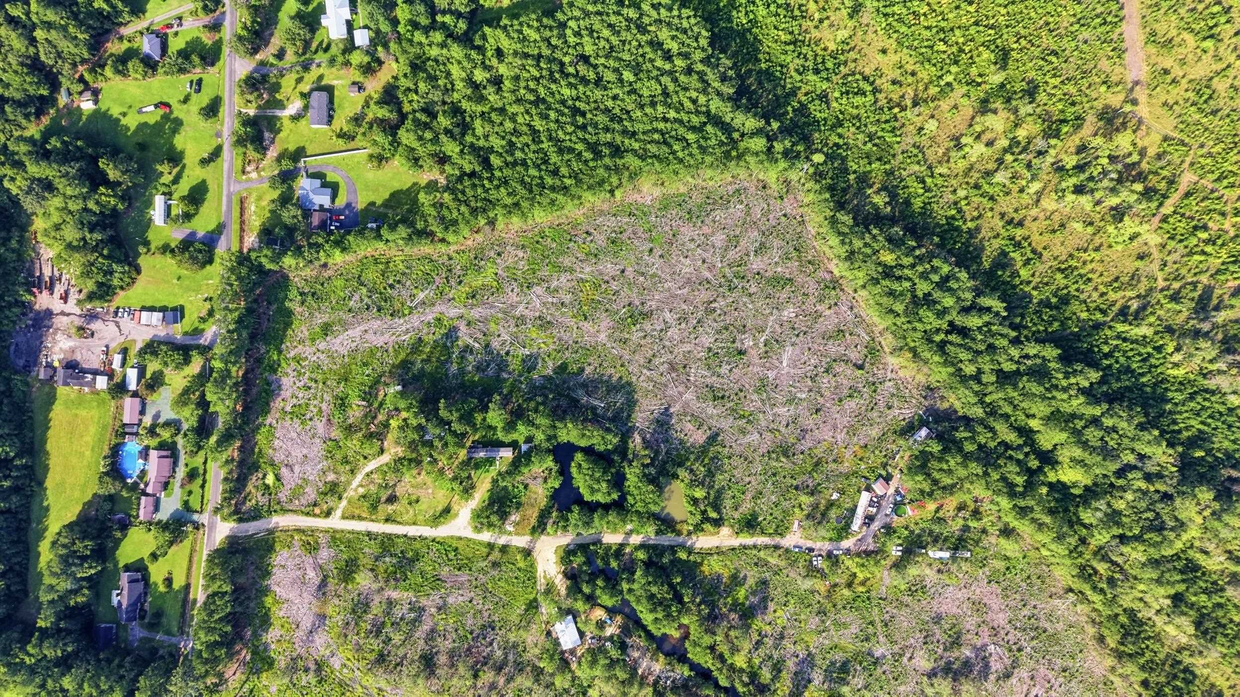 2106 Mineral Springs Rd. Property Photo 24