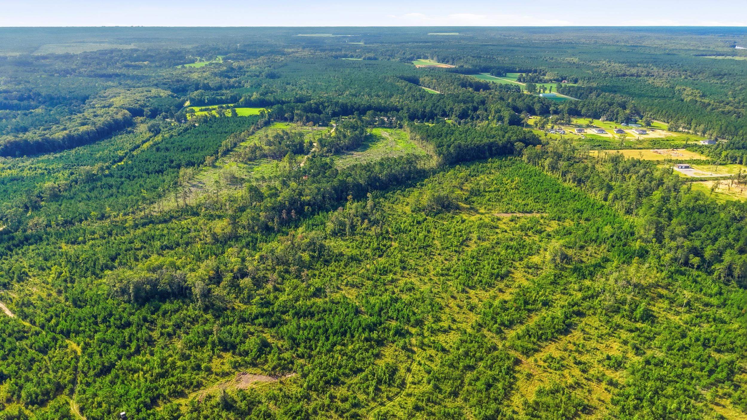 2106 Mineral Springs Rd. Property Photo 25
