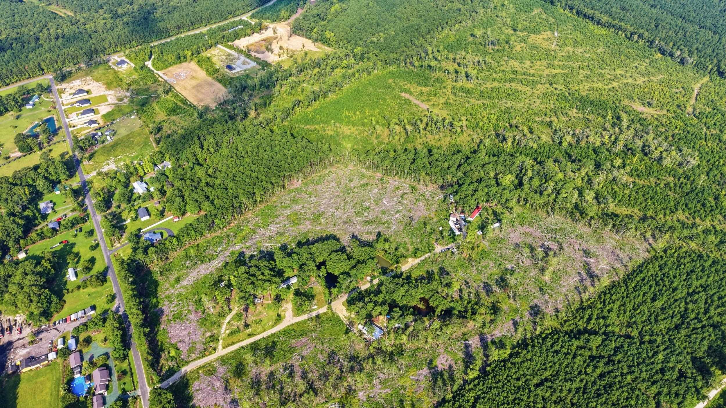 2106 Mineral Springs Rd. Property Photo 27