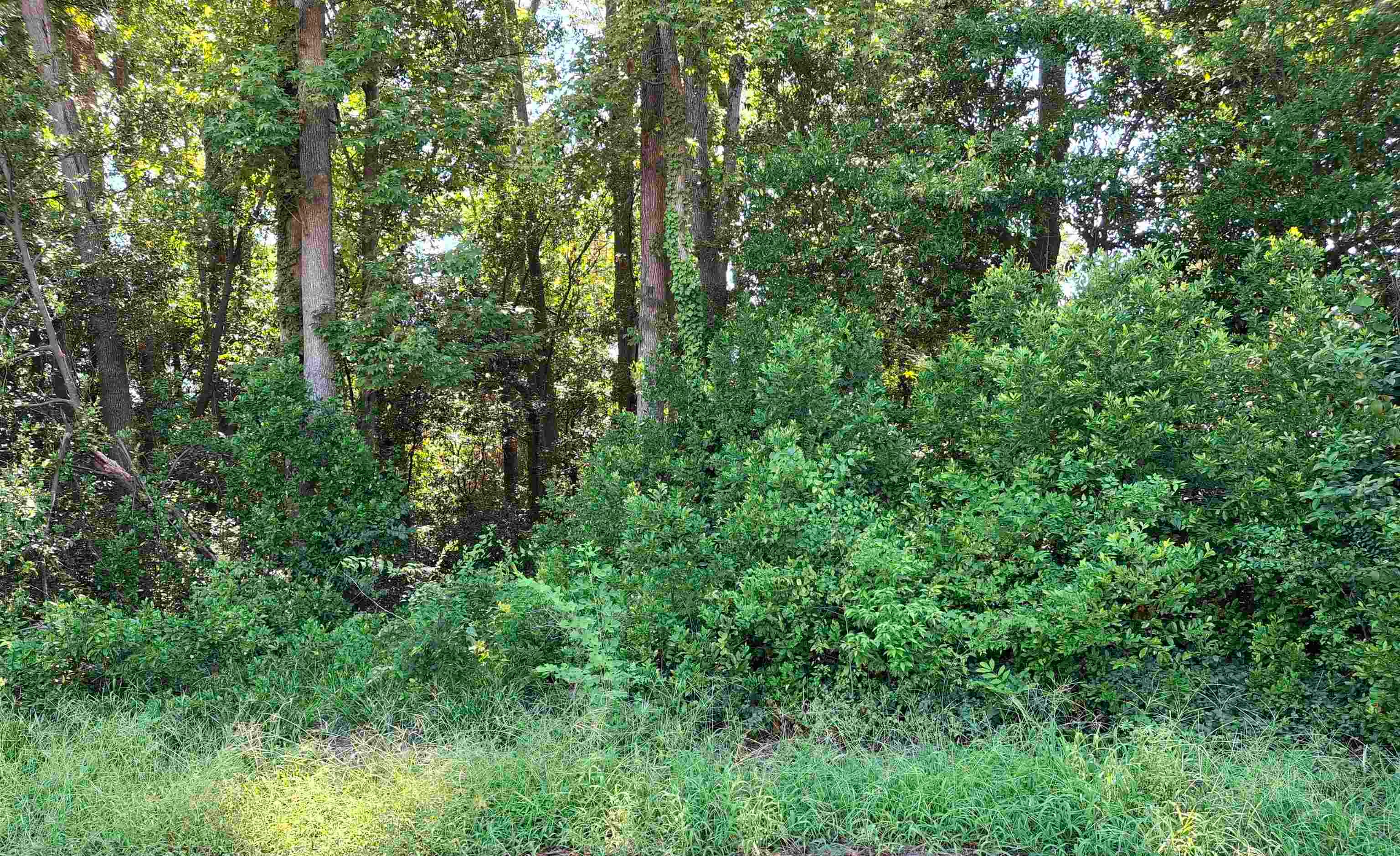 Tbd 29th Ave. S Property Photo 11