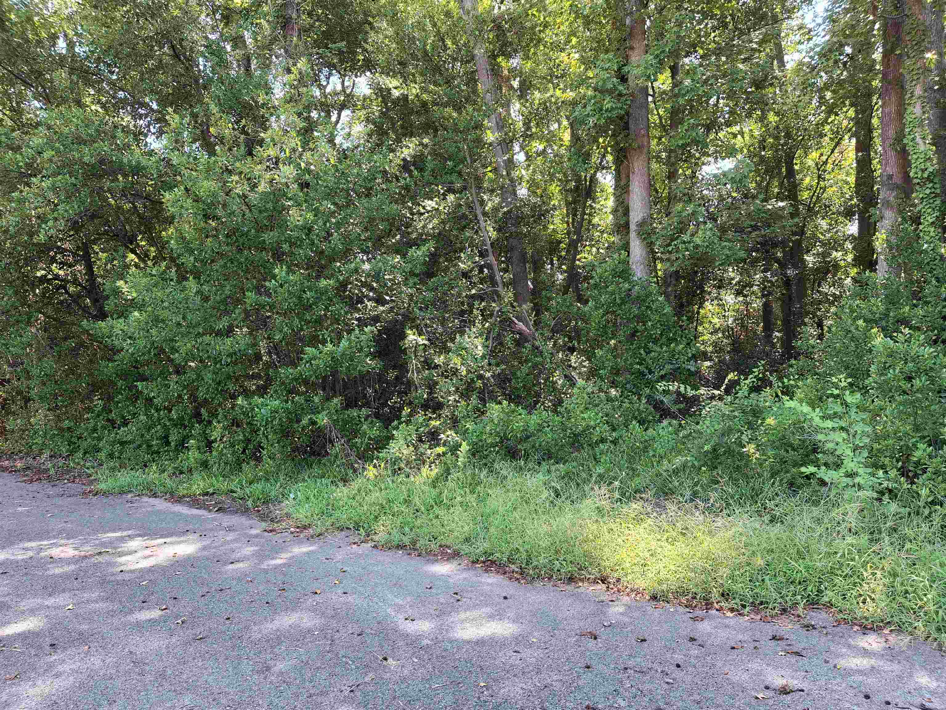 Tbd 29th Ave. S Property Photo 12
