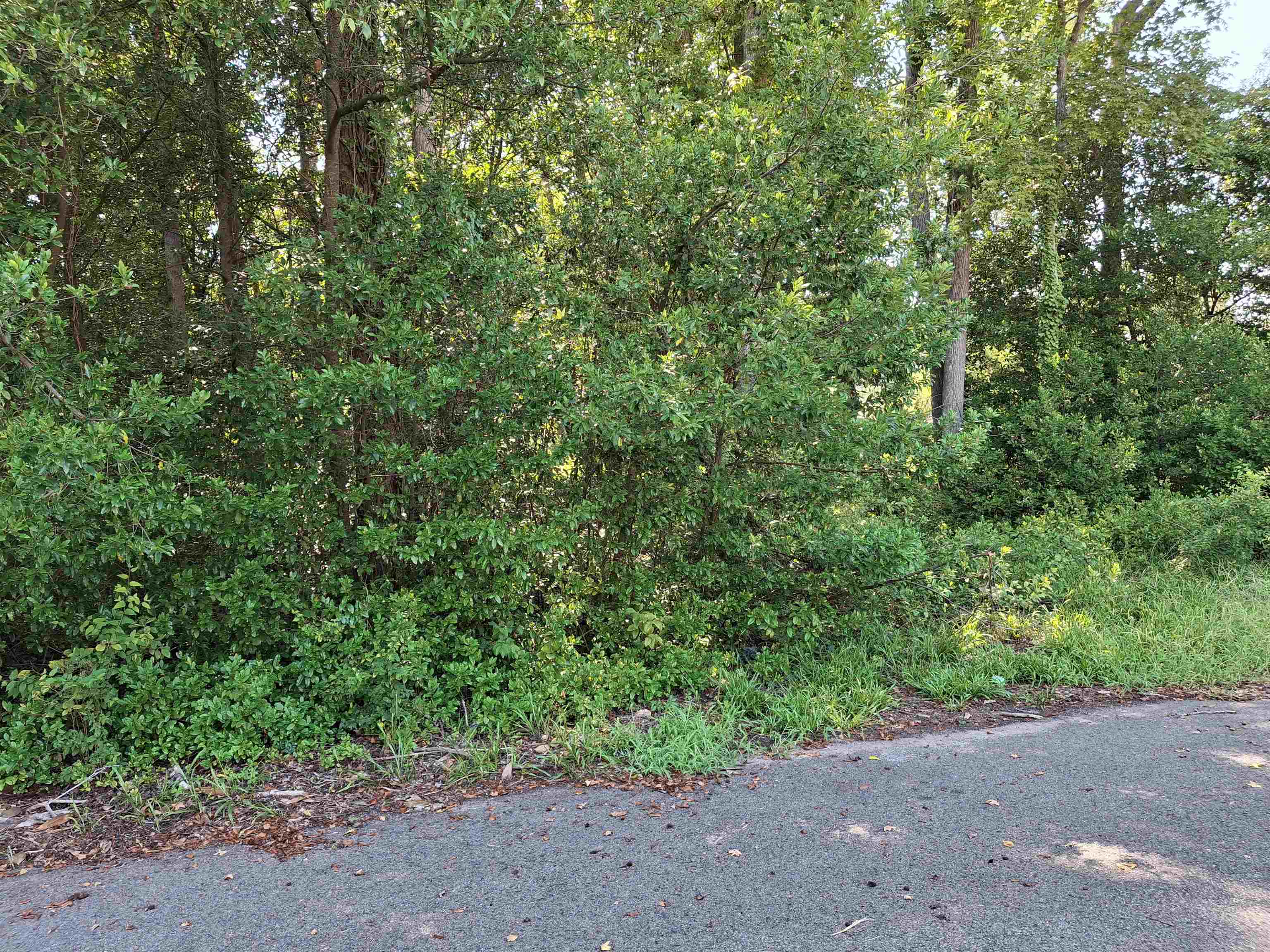 Tbd 29th Ave. S Property Photo 13