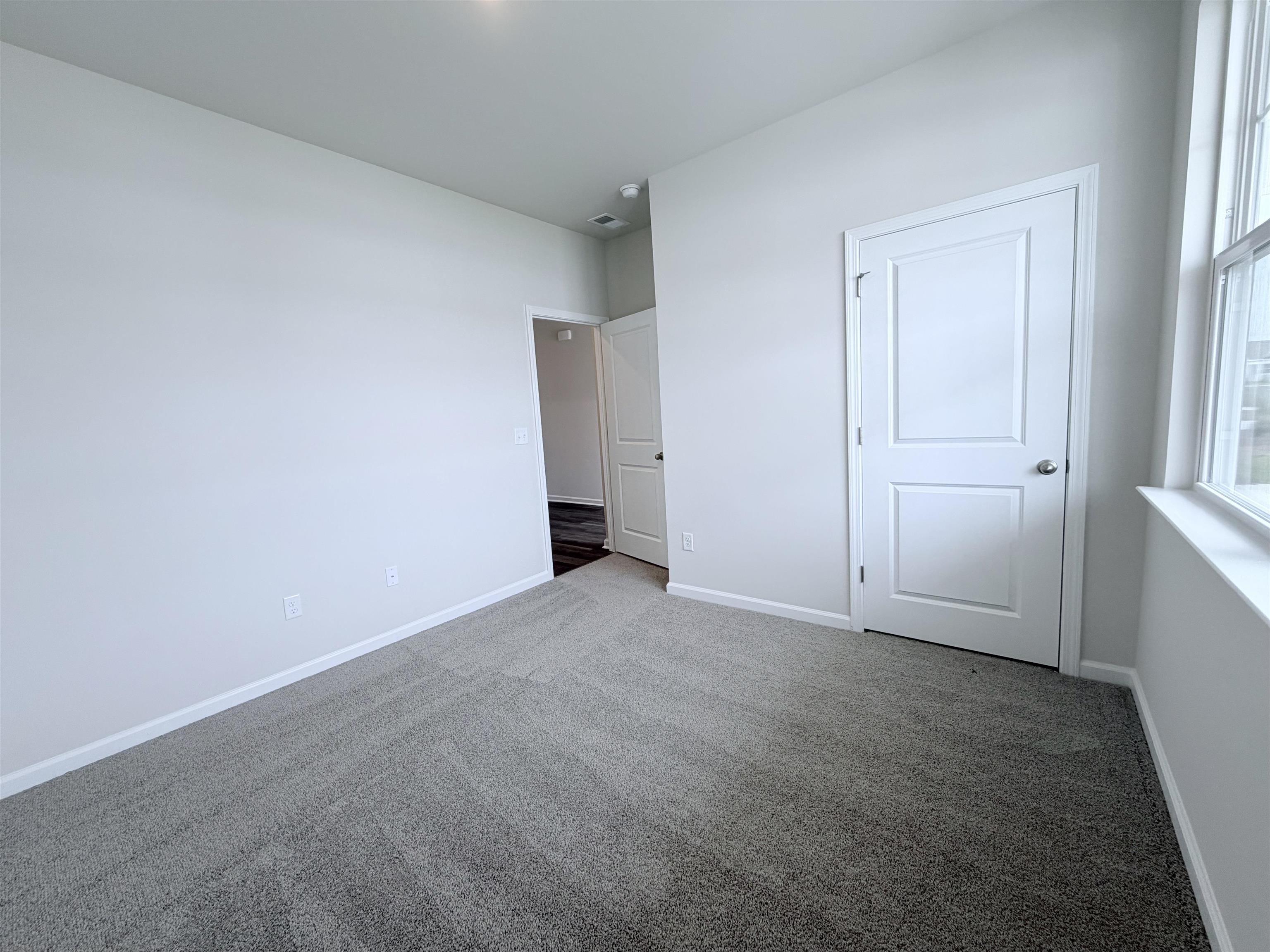 278 Ridley St Property Photo 6