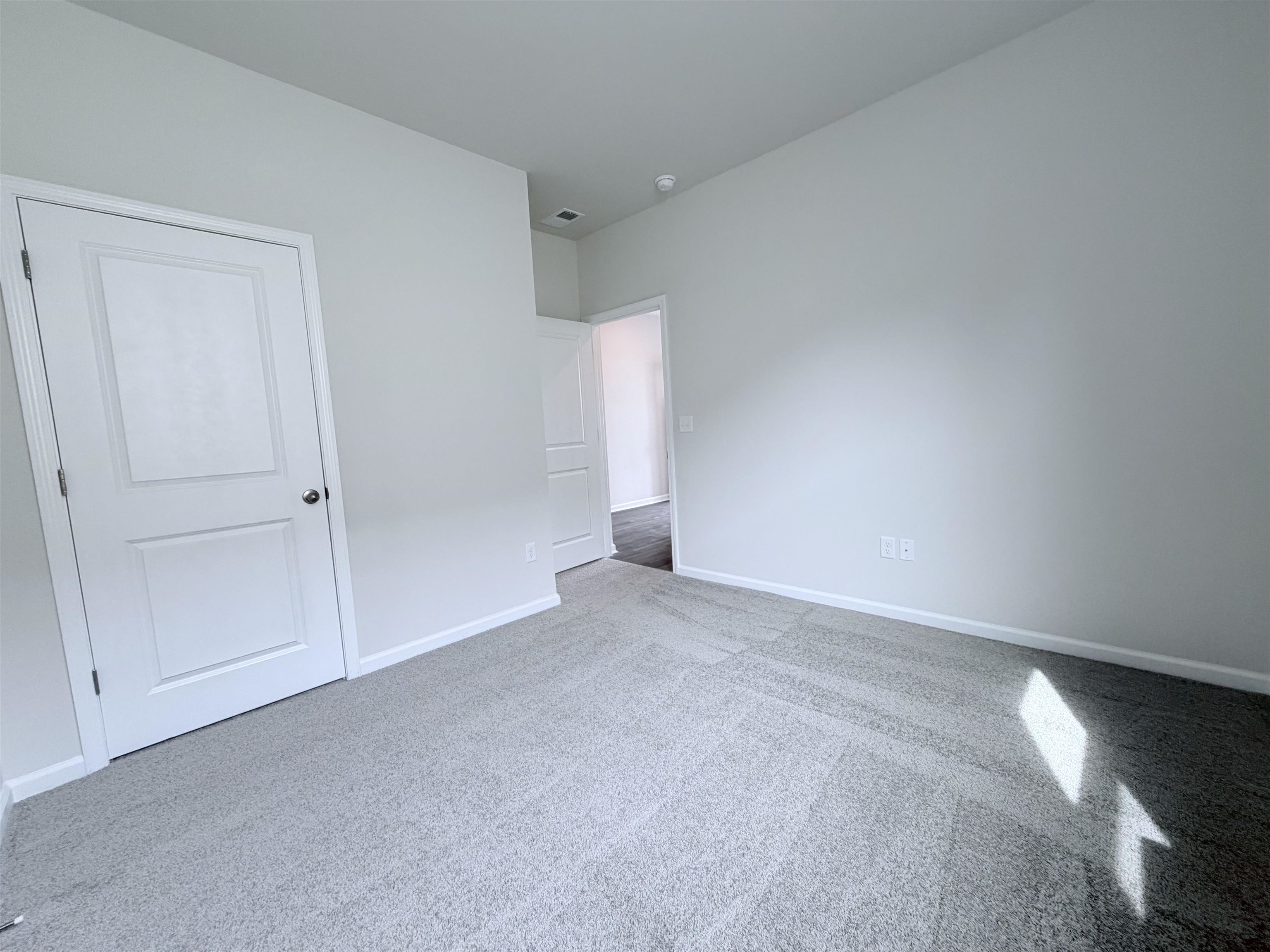 278 Ridley St Property Photo 8